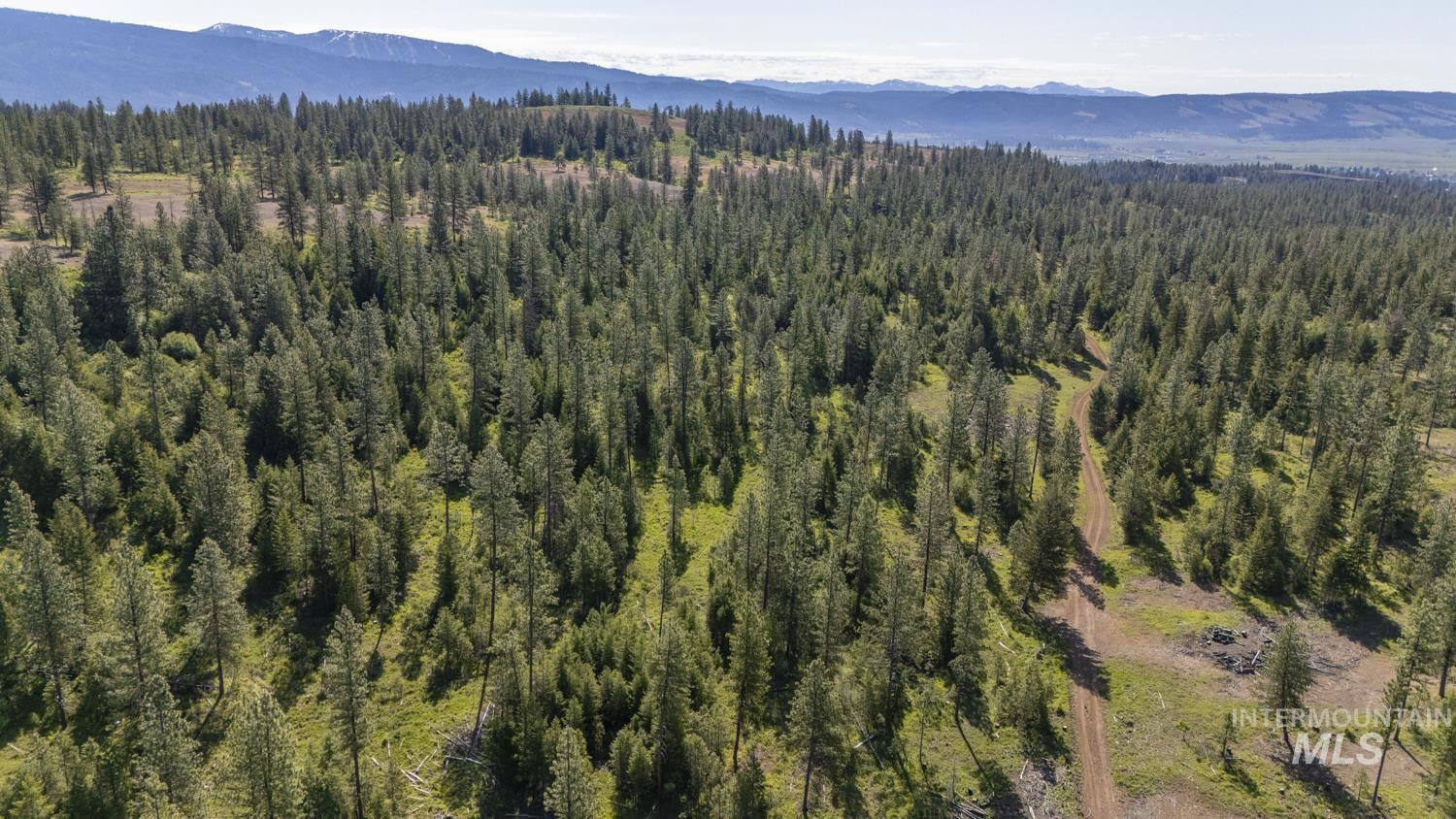 TBD1 US-95, New Meadows, Idaho 83654, Land For Sale, Price $8,892,000,MLS 98967830