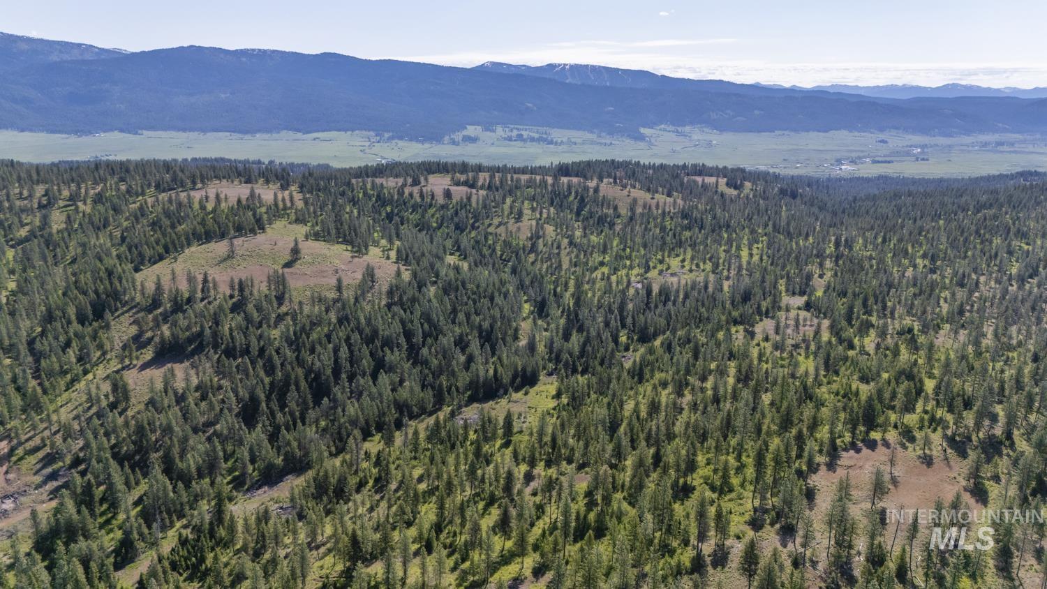 TBD1 US-95, New Meadows, Idaho 83654, Land For Sale, Price $8,892,000,MLS 98967830