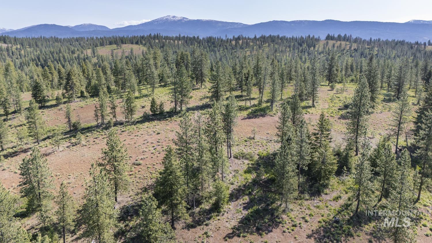 TBD1 US-95, New Meadows, Idaho 83654, Land For Sale, Price $8,892,000,MLS 98967830