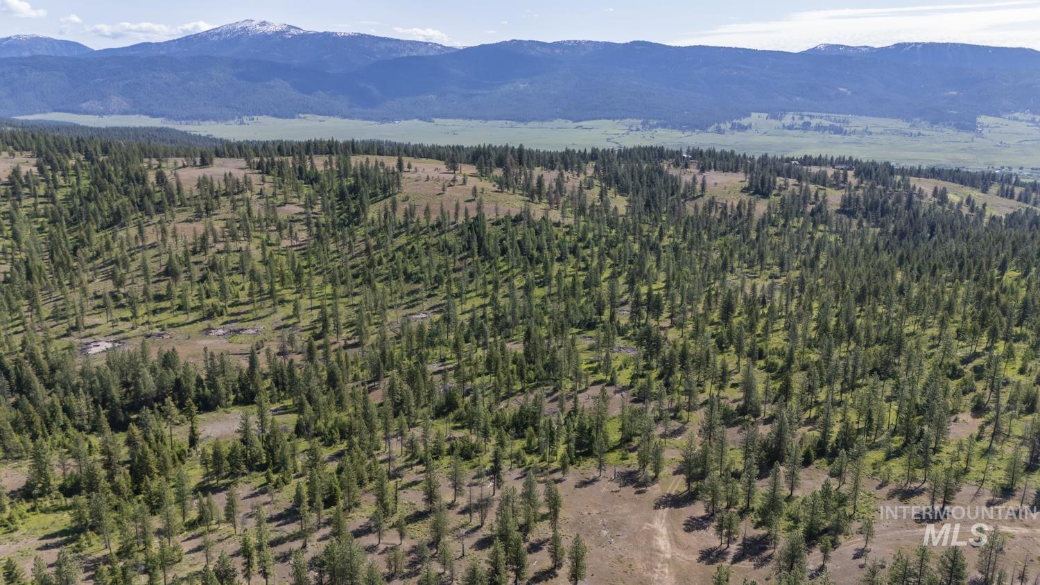 TBD1 US-95, New Meadows, Idaho 83654, Land For Sale, Price $8,892,000,MLS 98967830