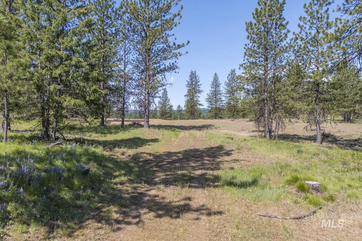 TBD1 US-95, New Meadows, Idaho 83654, Land For Sale, Price $8,892,000,MLS 98967830
