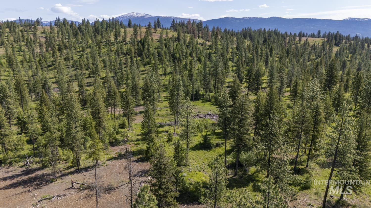 TBD1 US-95, New Meadows, Idaho 83654, Land For Sale, Price $8,892,000,MLS 98967830