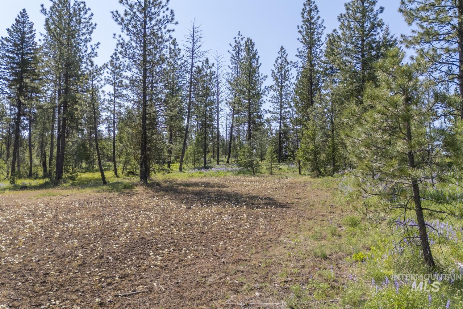 TBD1 US-95, New Meadows, Idaho 83654, Land For Sale, Price $8,892,000,MLS 98967830