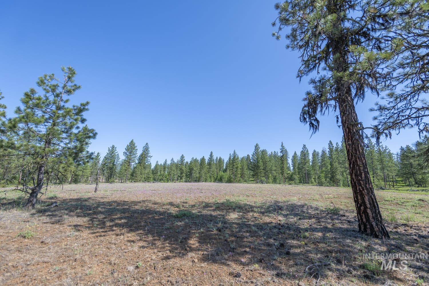 TBD1 US-95, New Meadows, Idaho 83654, Land For Sale, Price $8,892,000,MLS 98967830