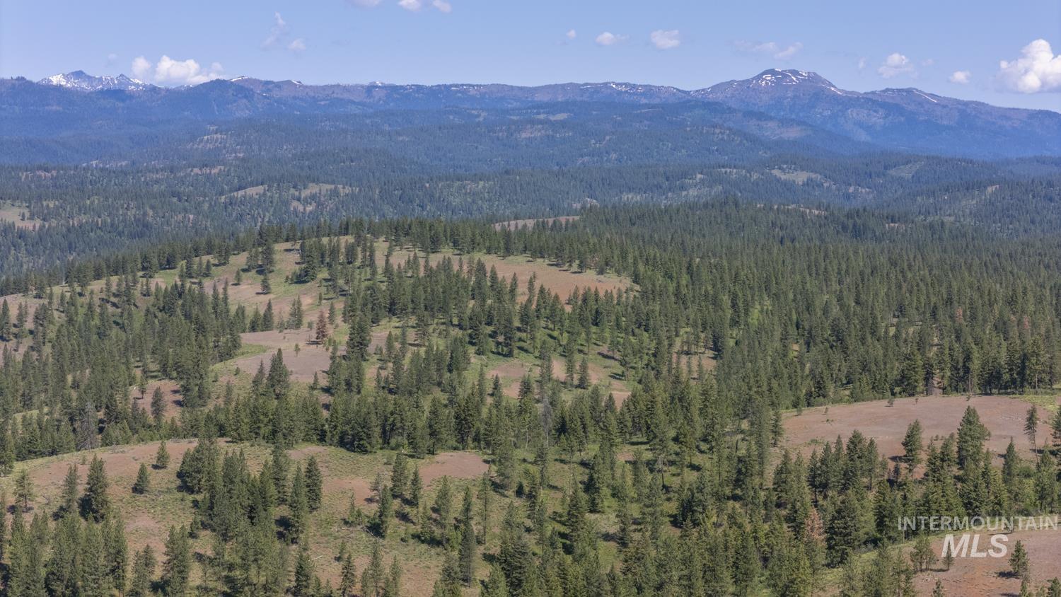 TBD1 US-95, New Meadows, Idaho 83654, Land For Sale, Price $8,892,000,MLS 98967830