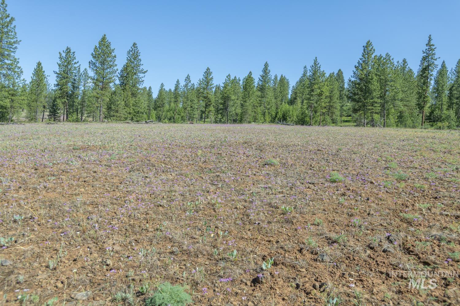 TBD1 US-95, New Meadows, Idaho 83654, Land For Sale, Price $8,892,000,MLS 98967830