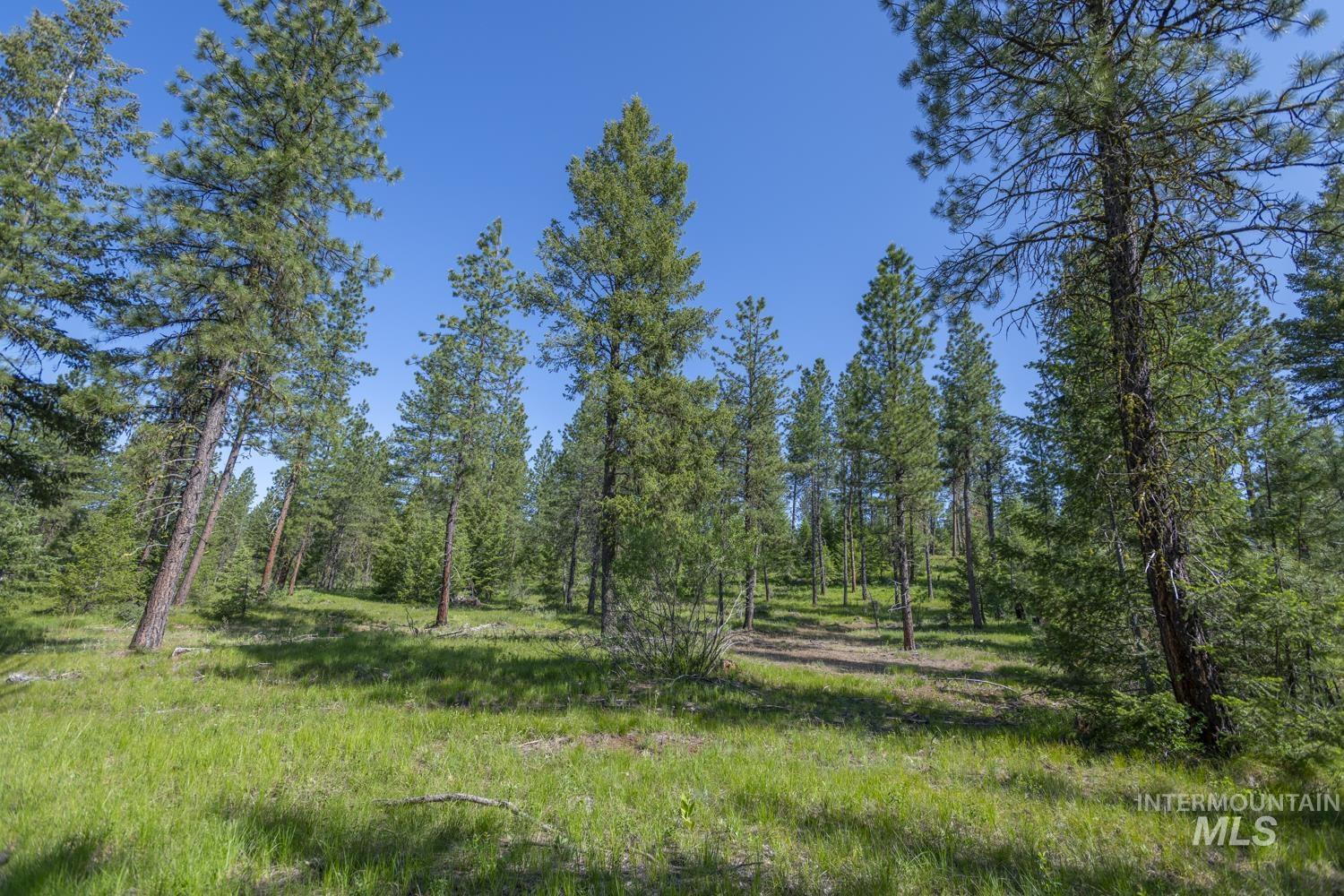 TBD1 US-95, New Meadows, Idaho 83654, Land For Sale, Price $8,892,000,MLS 98967830