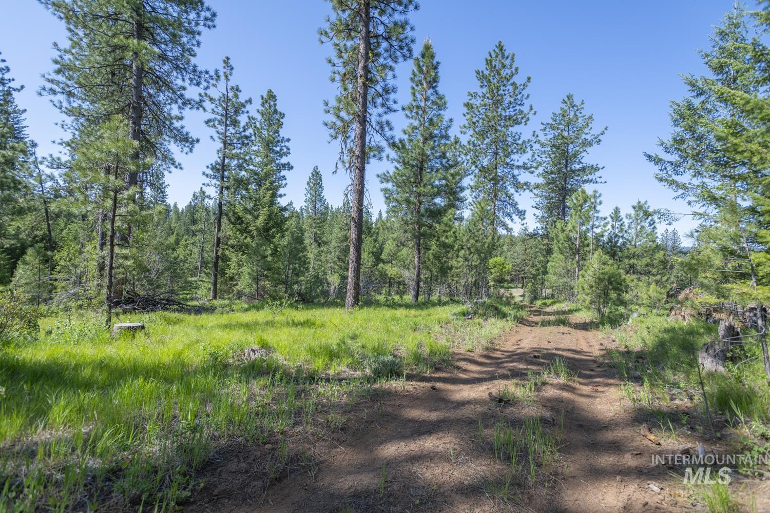 TBD1 US-95, New Meadows, Idaho 83654, Land For Sale, Price $8,892,000,MLS 98967830