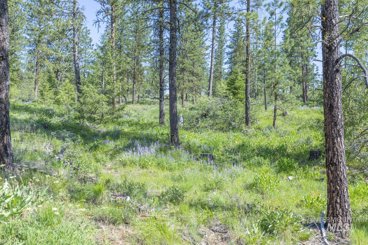 TBD1 US-95, New Meadows, Idaho 83654, Land For Sale, Price $8,892,000,MLS 98967830