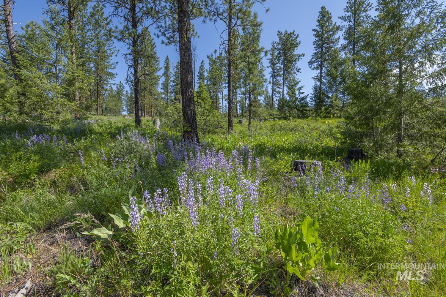 TBD1 US-95, New Meadows, Idaho 83654, Land For Sale, Price $8,892,000,MLS 98967830