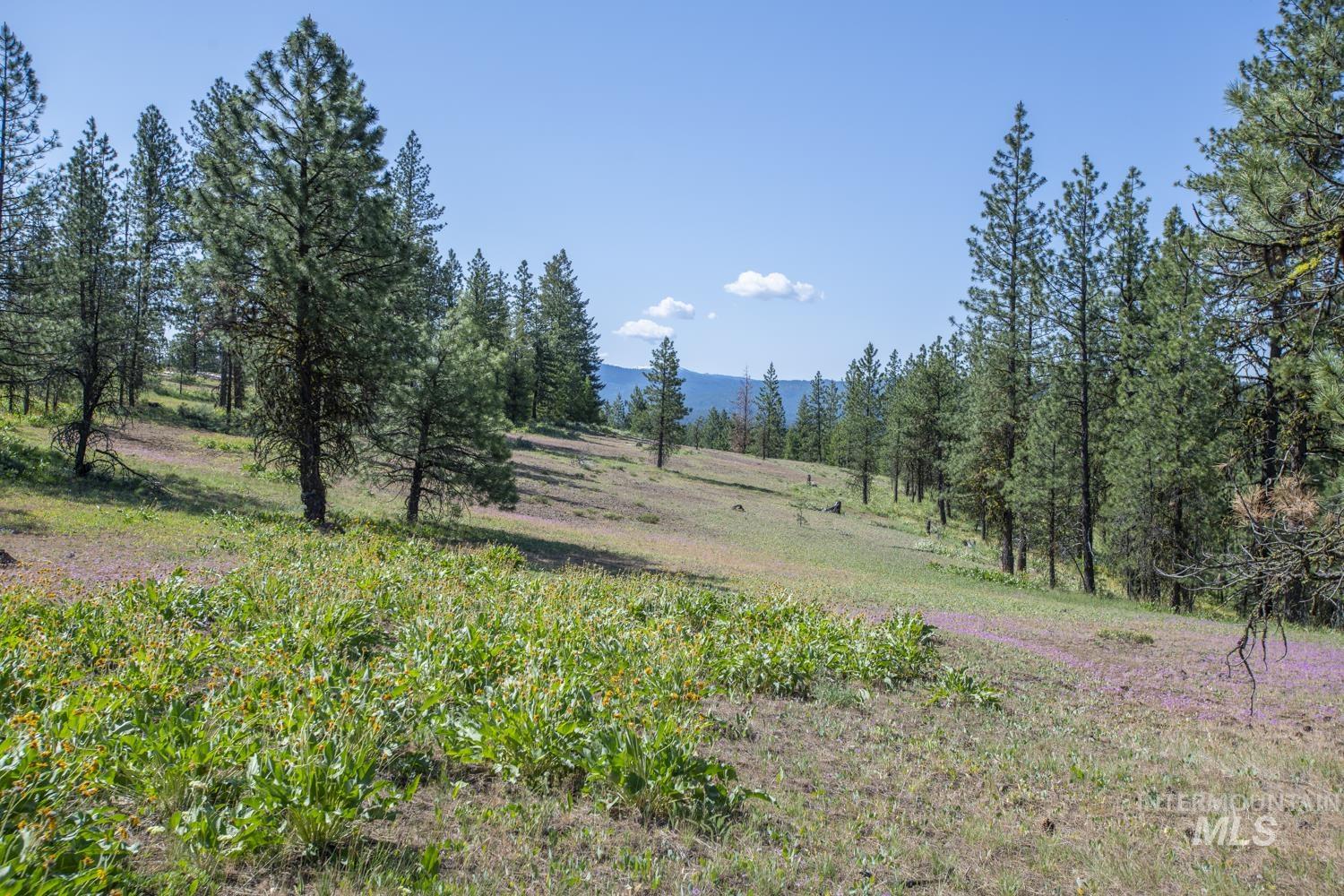 TBD1 US-95, New Meadows, Idaho 83654, Land For Sale, Price $8,892,000,MLS 98967830