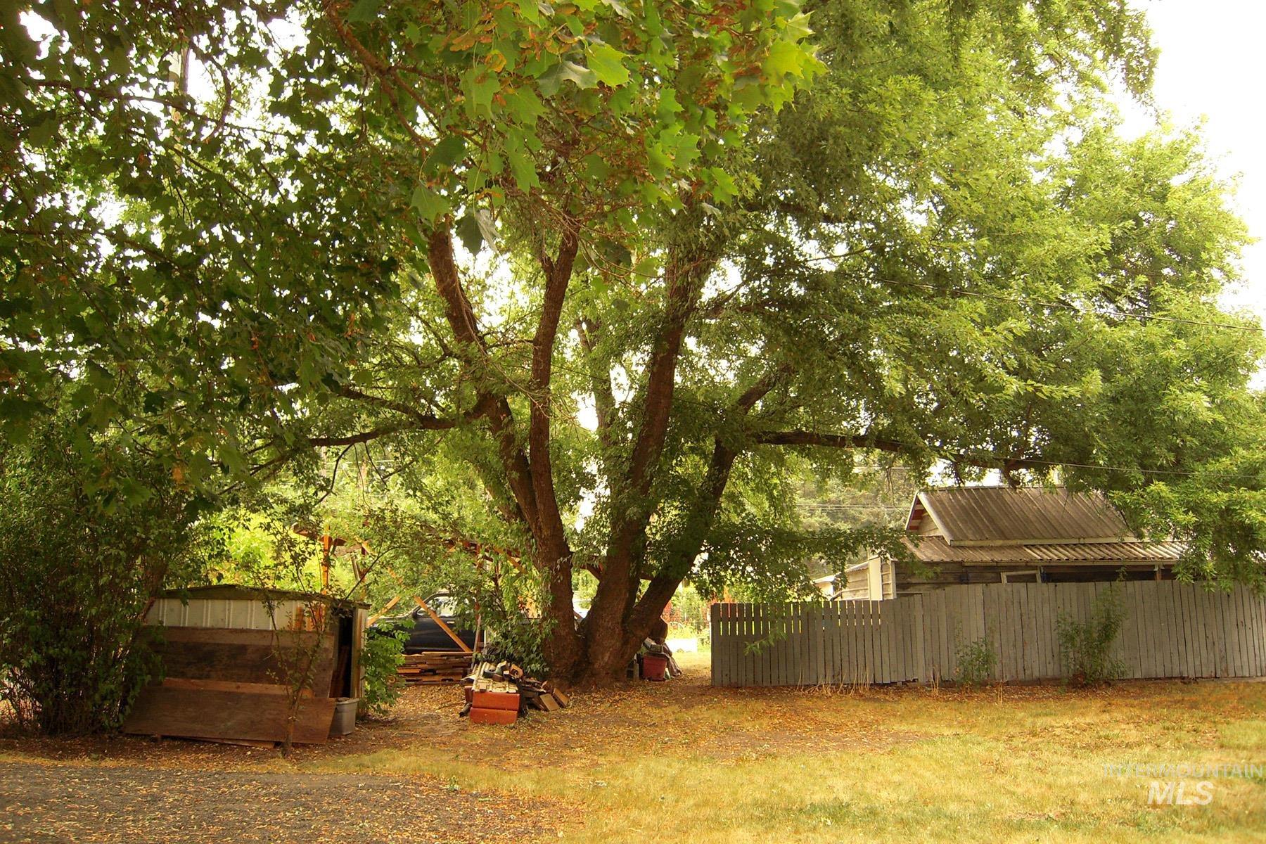 115 N Lincoln, Moscow, Idaho 83843, 3 Bedrooms, 1 Bathroom, Residential For Sale, Price $499,000,MLS 98967842