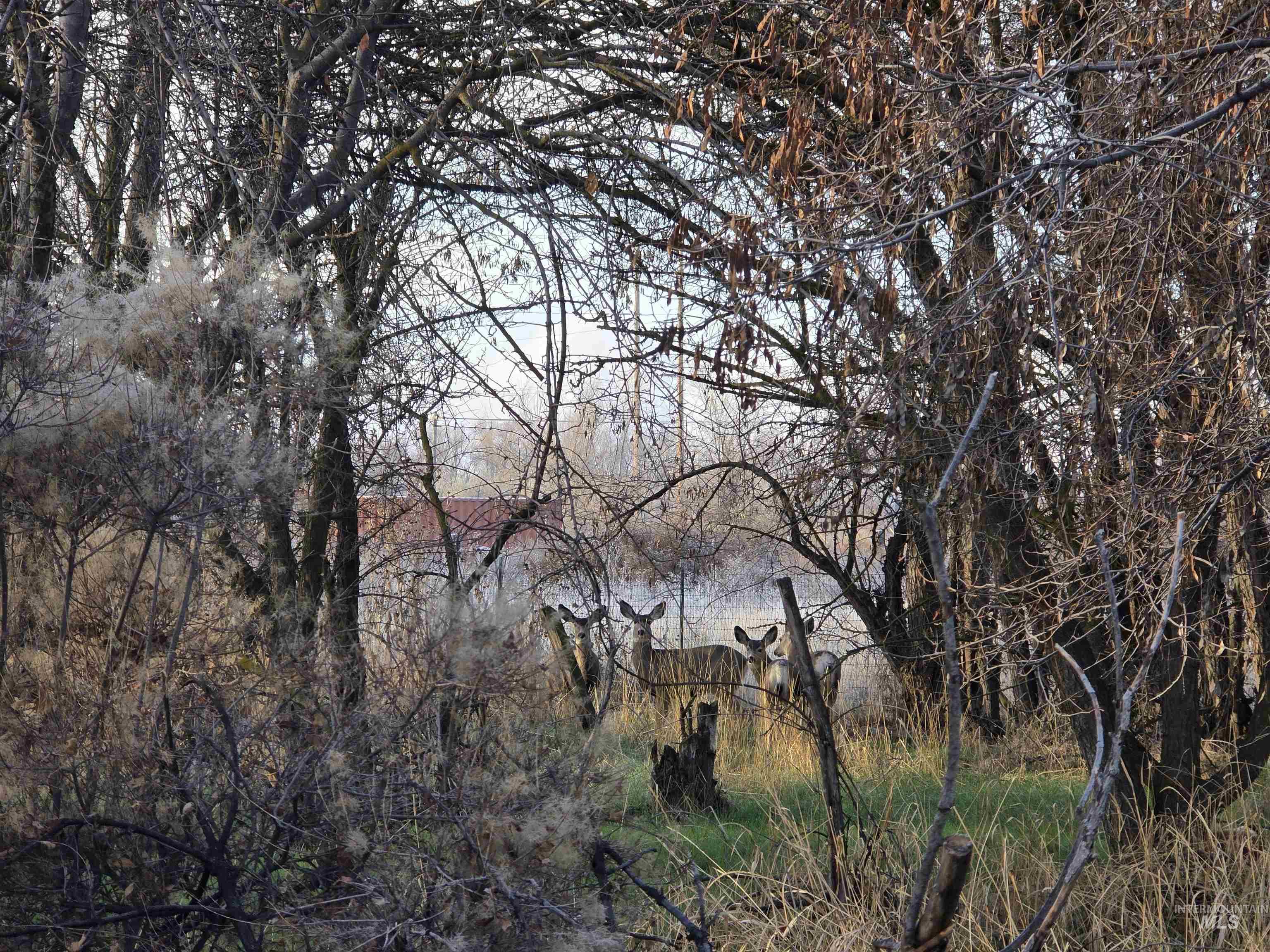 TBD S 12th St, Payette, Idaho 83661, Land For Sale, Price $99,000,MLS 98967852