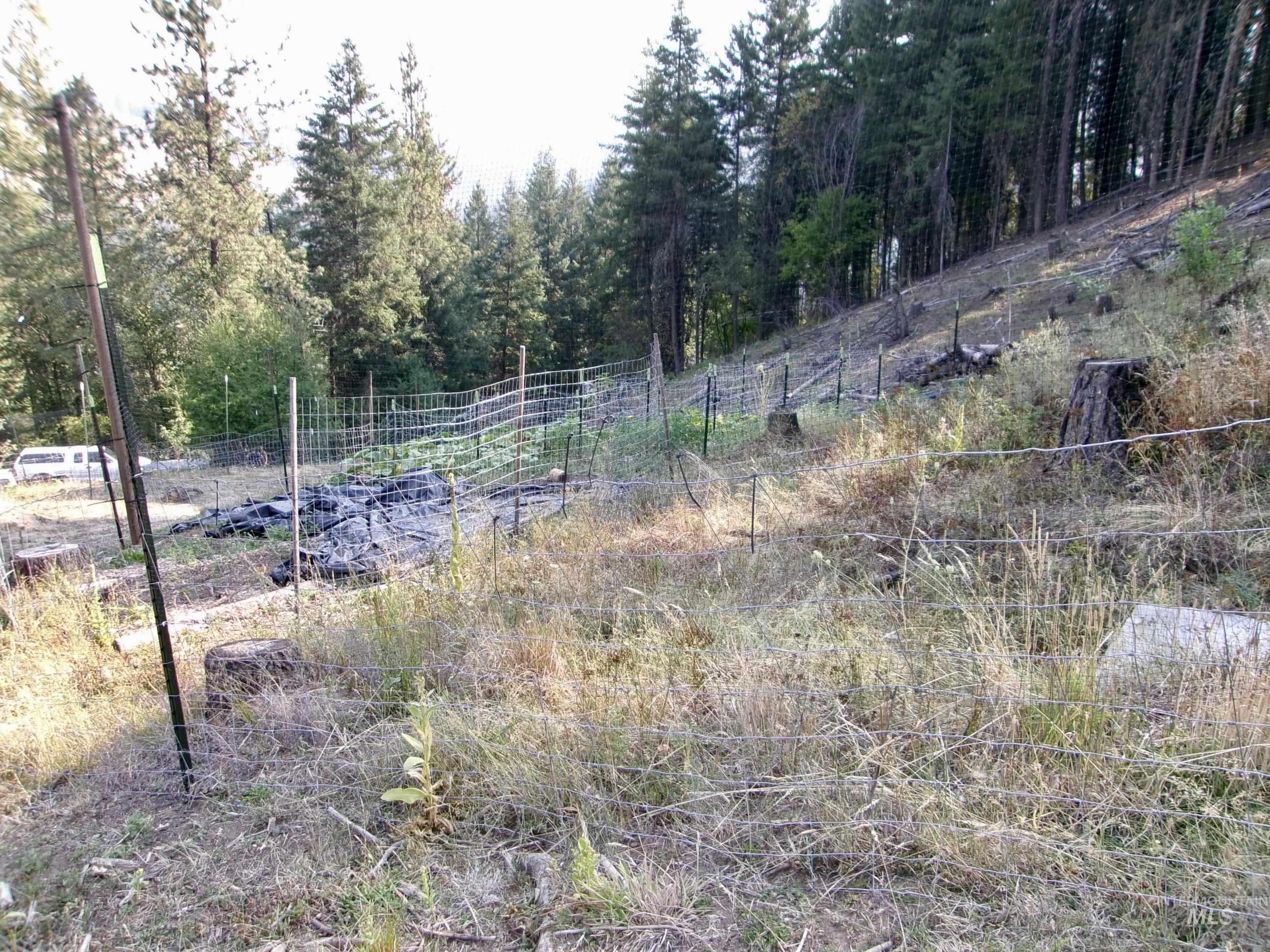 123 Conifer Lane, Harpster, Idaho 83552, 4 Bedrooms, 1 Bathroom, Residential For Sale, Price $365,000,MLS 98967913