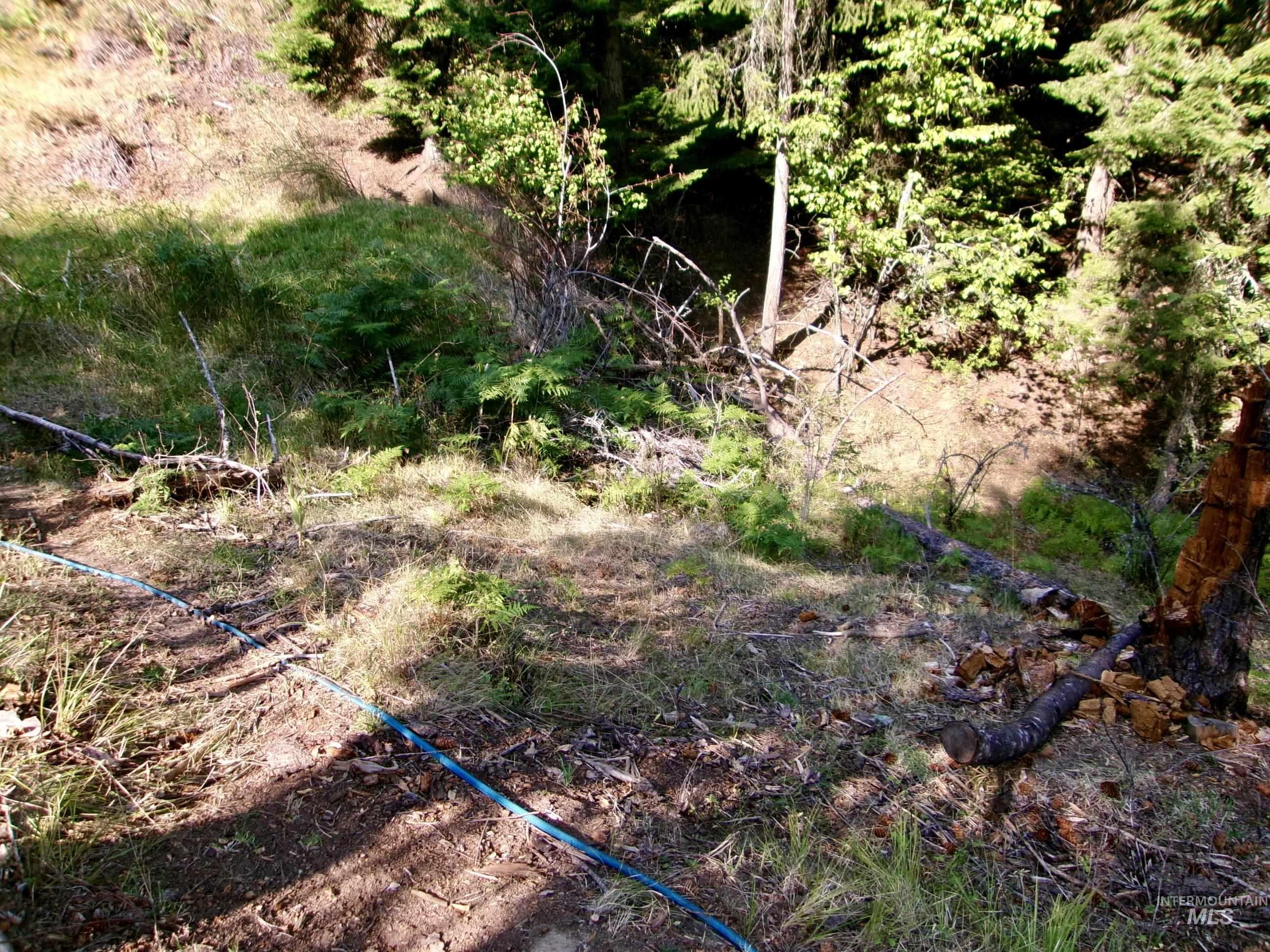 123 Conifer Lane, Harpster, Idaho 83552, 4 Bedrooms, 1 Bathroom, Residential For Sale, Price $365,000,MLS 98967913