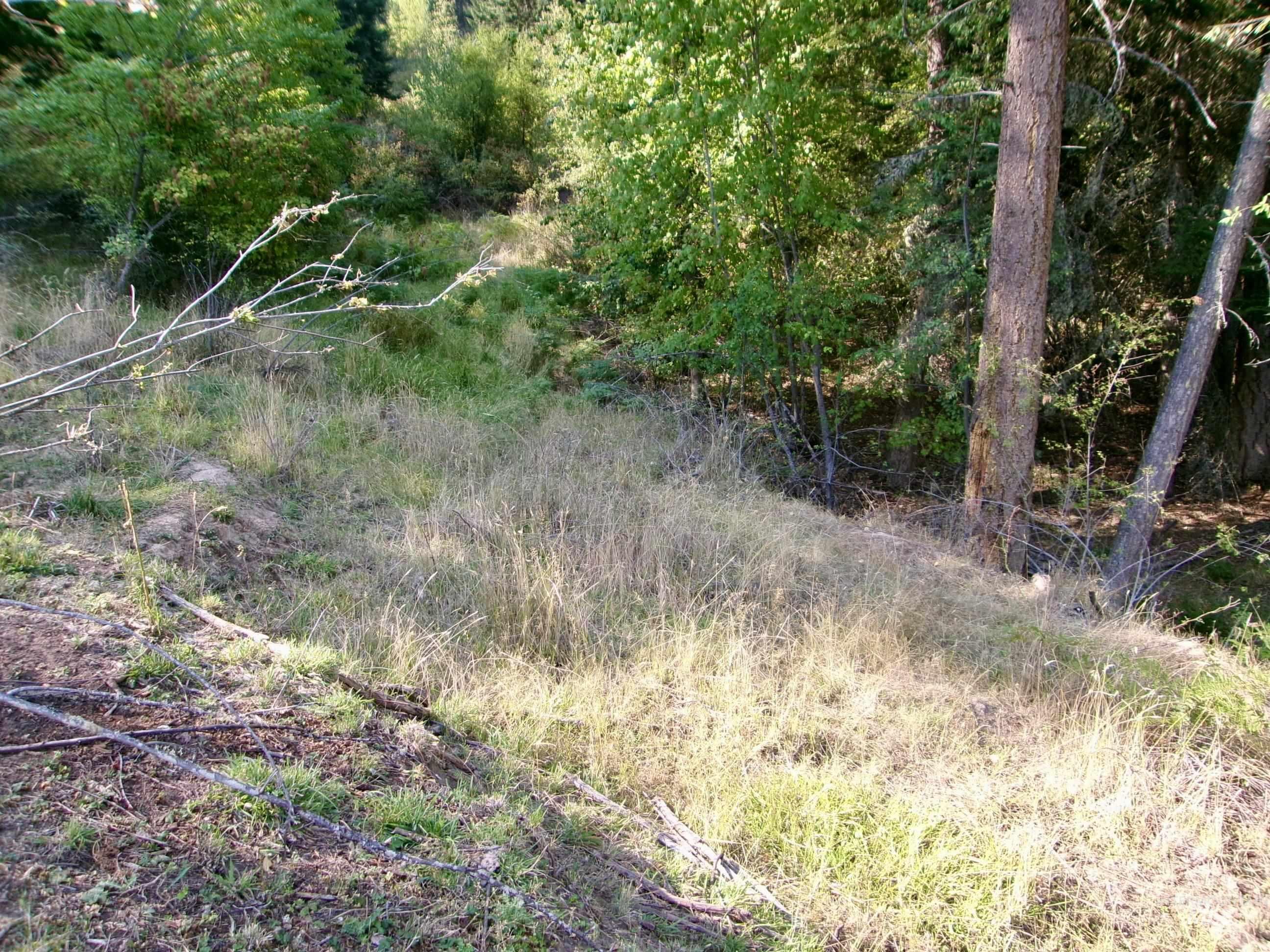 123 Conifer Lane, Harpster, Idaho 83552, 4 Bedrooms, 1 Bathroom, Residential For Sale, Price $365,000,MLS 98967913