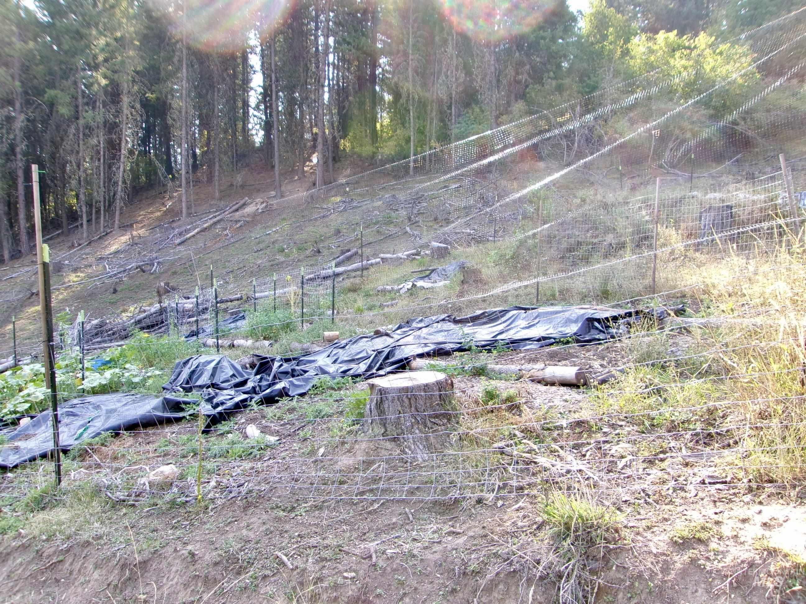 123 Conifer Lane, Harpster, Idaho 83552, 4 Bedrooms, 1 Bathroom, Residential For Sale, Price $365,000,MLS 98967913