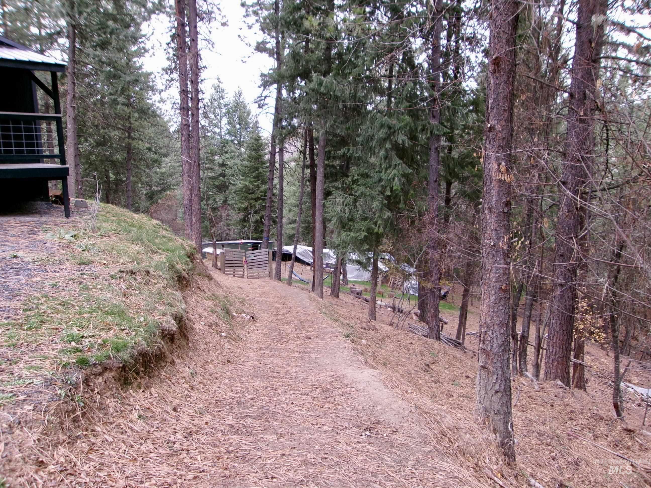 123 Conifer Lane, Harpster, Idaho 83552, 4 Bedrooms, 1 Bathroom, Residential For Sale, Price $365,000,MLS 98967913