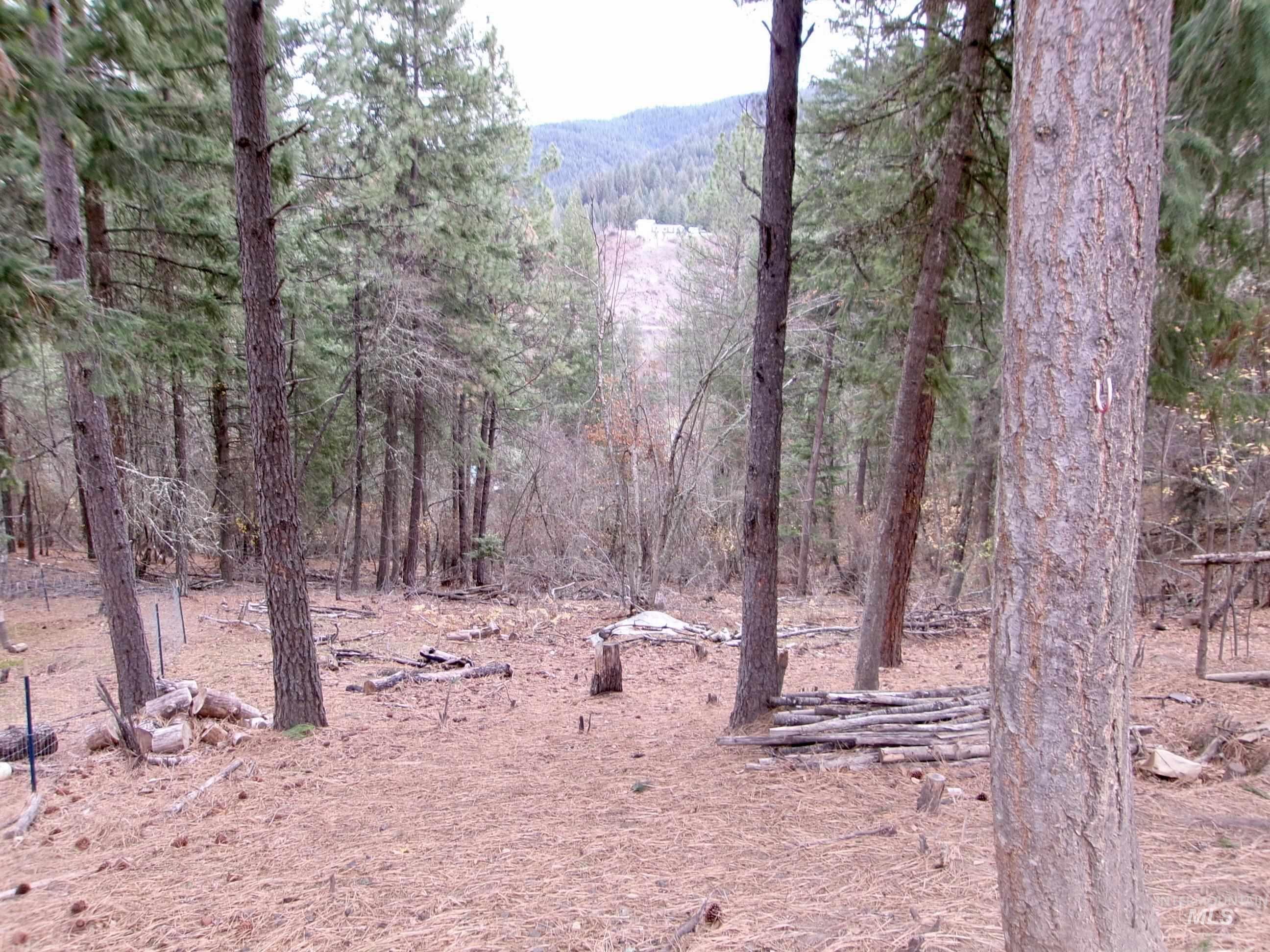 123 Conifer Lane, Harpster, Idaho 83552, 4 Bedrooms, 1 Bathroom, Residential For Sale, Price $365,000,MLS 98967913