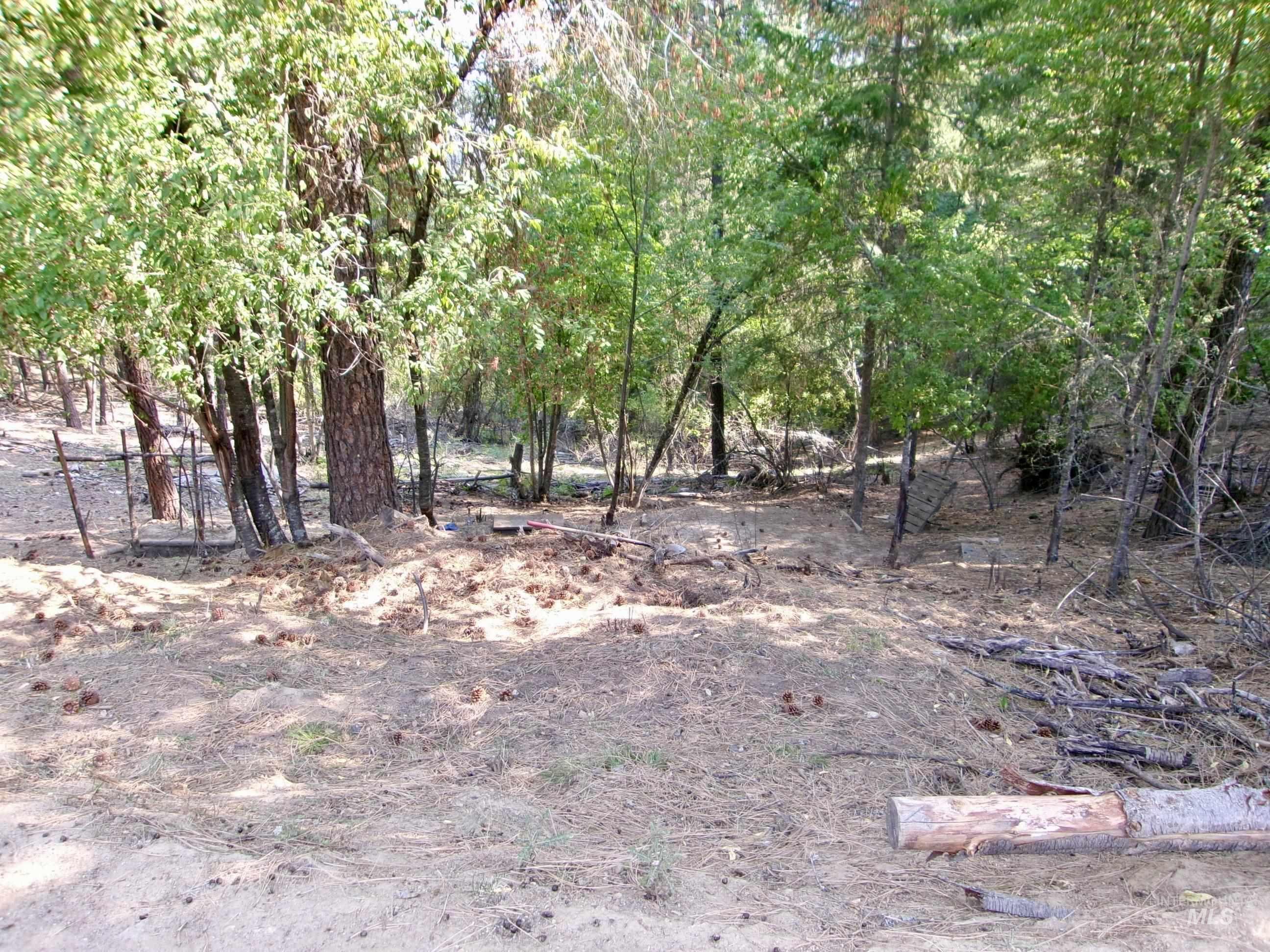 123 Conifer Lane, Harpster, Idaho 83552, 4 Bedrooms, 1 Bathroom, Residential For Sale, Price $365,000,MLS 98967913