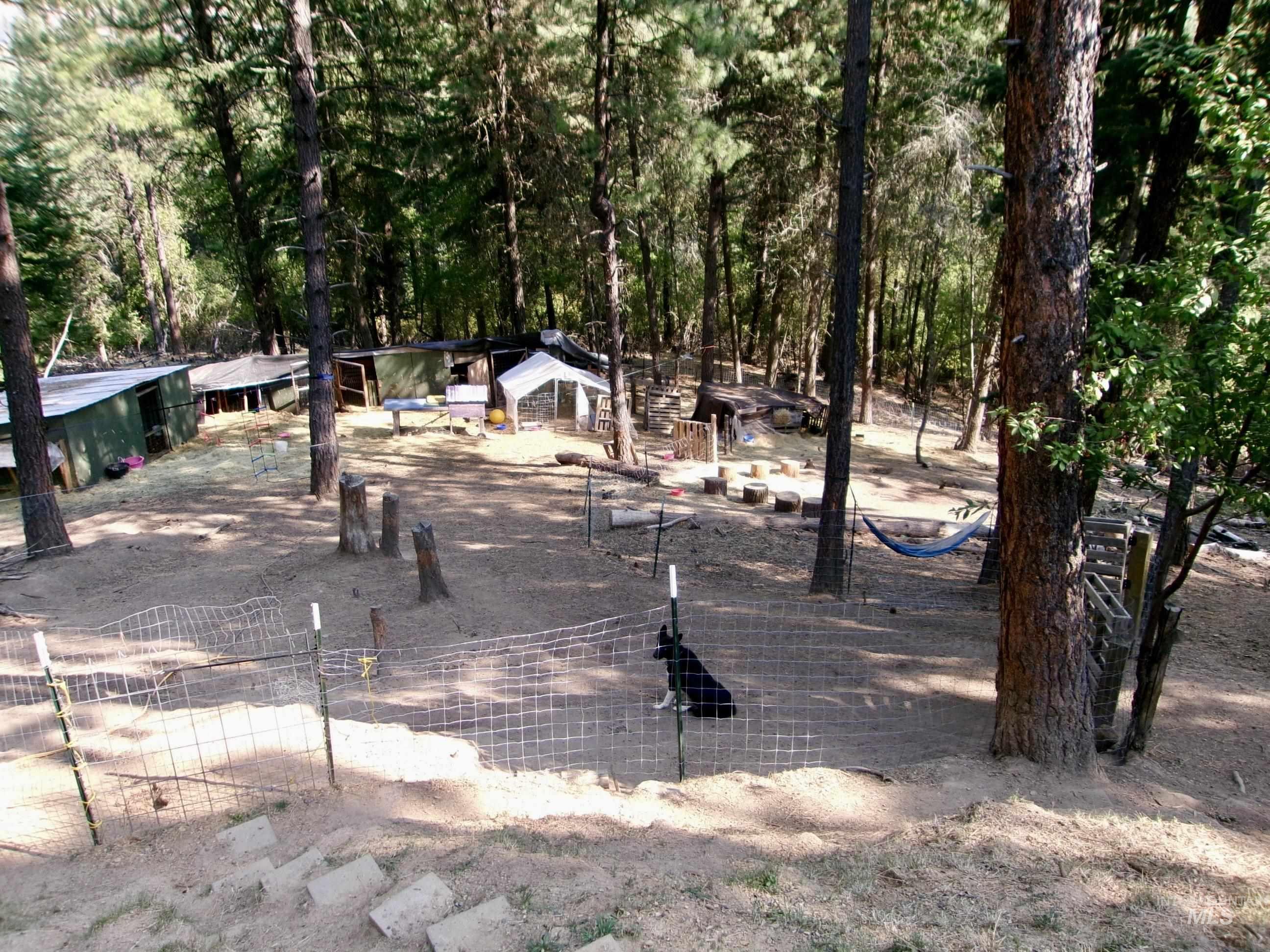 123 Conifer Lane, Harpster, Idaho 83552, 4 Bedrooms, 1 Bathroom, Residential For Sale, Price $365,000,MLS 98967913