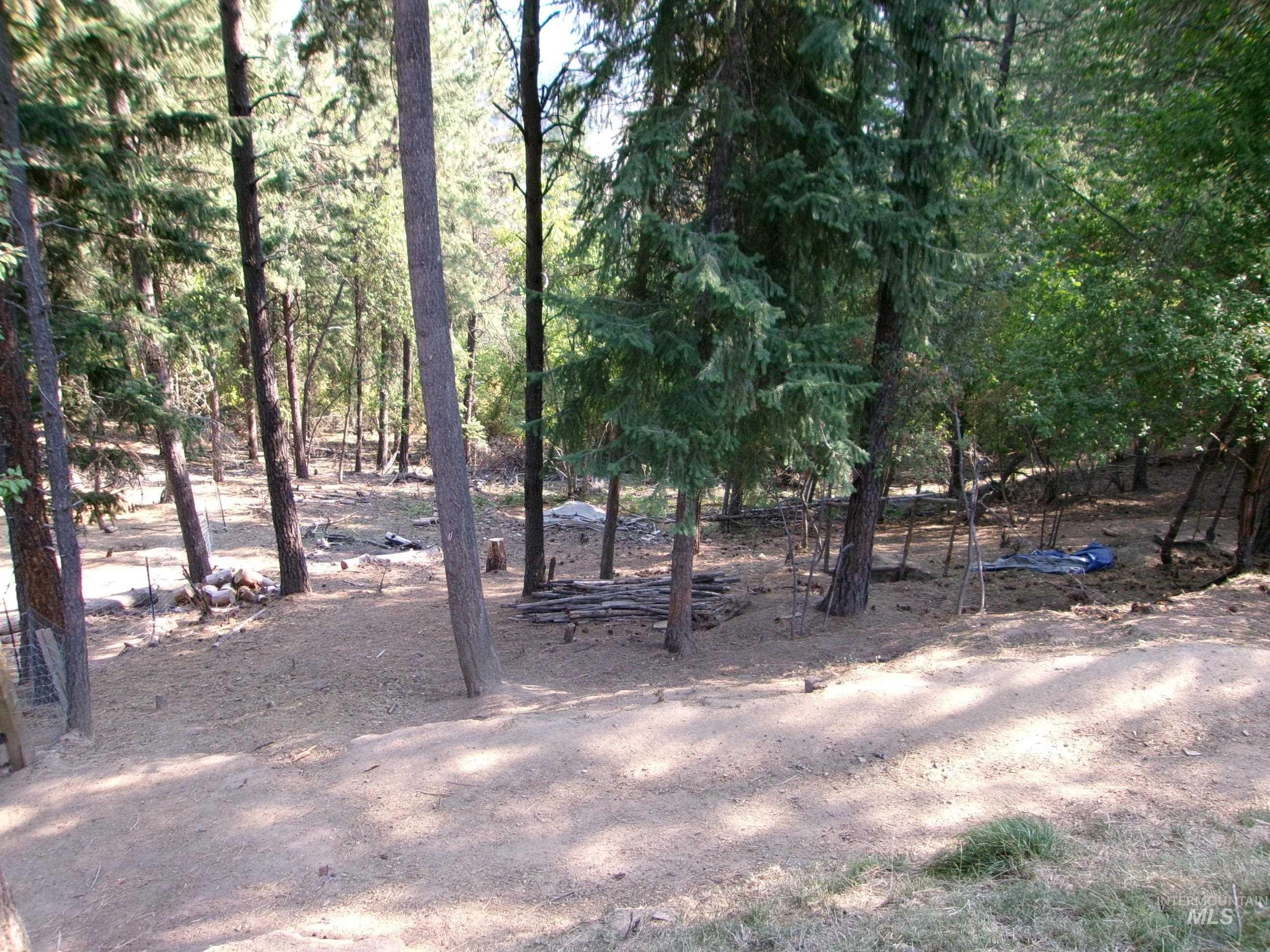 123 Conifer Lane, Harpster, Idaho 83552, 4 Bedrooms, 1 Bathroom, Residential For Sale, Price $365,000,MLS 98967913