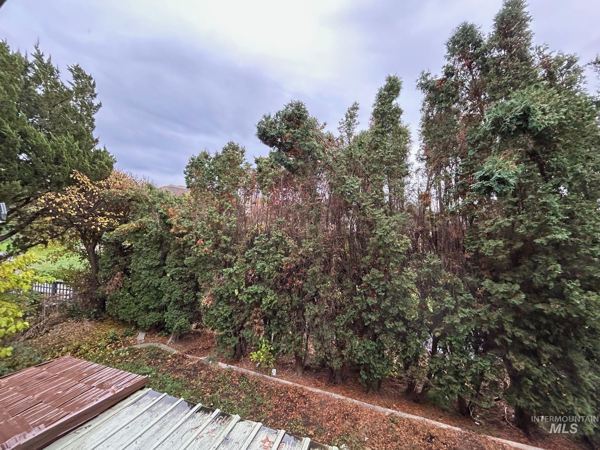 3590 Country Club Drive, Lewiston, Idaho 83501, 4 Bedrooms, 3 Bathrooms, Residential For Sale, Price $479,900,MLS 98967983