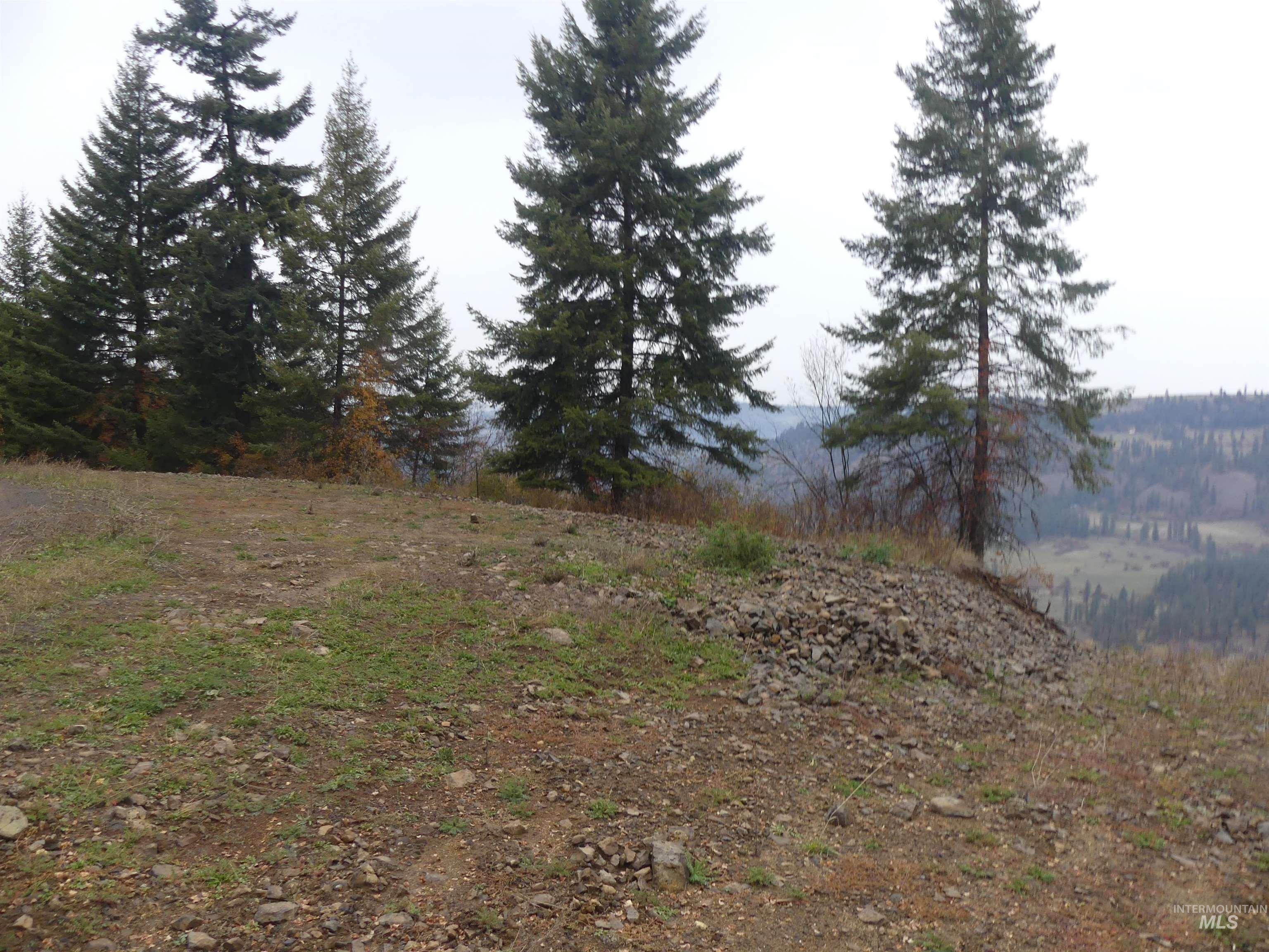 1762 Tranquil Lane (#4), Orofino, Idaho 83544, Land For Sale, Price $124,900, 98968003