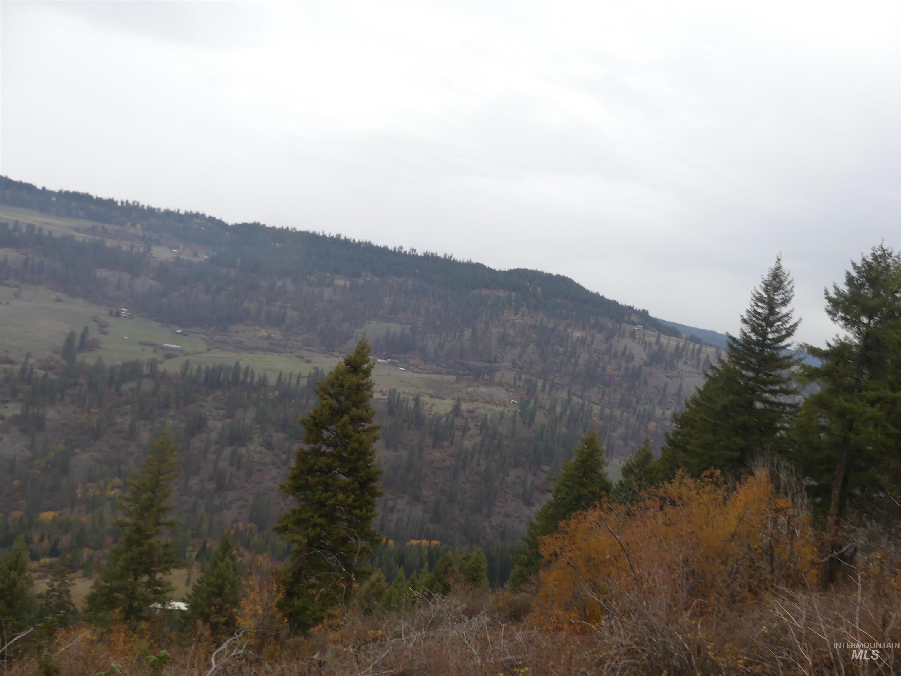 1762 Tranquil Lane (#4), Orofino, Idaho 83544, Land For Sale, Price $124,900, 98968003