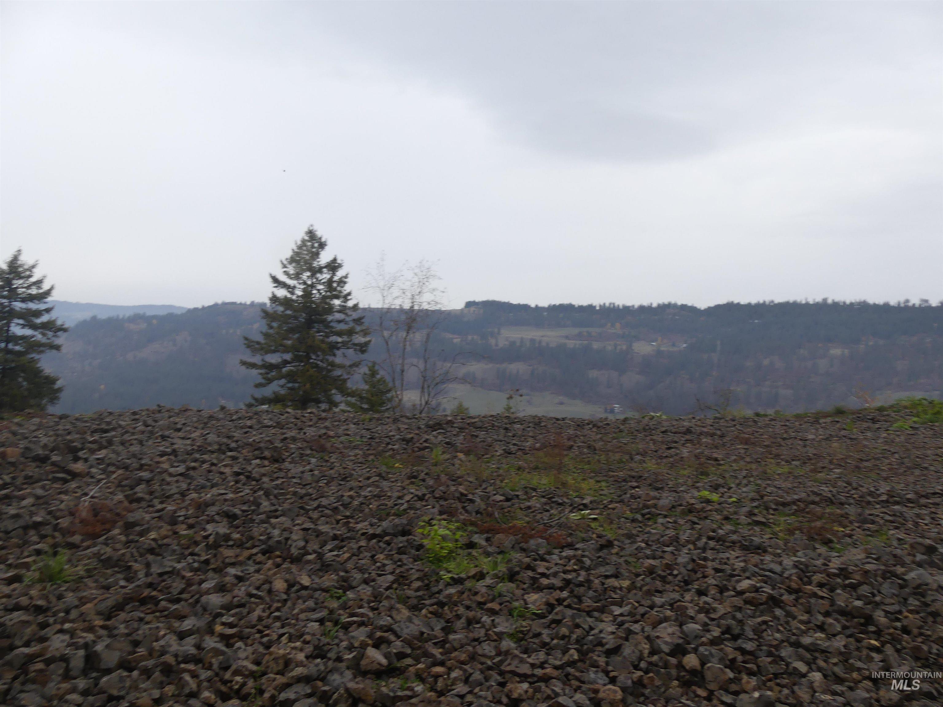 1762 Tranquil Lane (#4), Orofino, Idaho 83544, Land For Sale, Price $124,900, 98968003