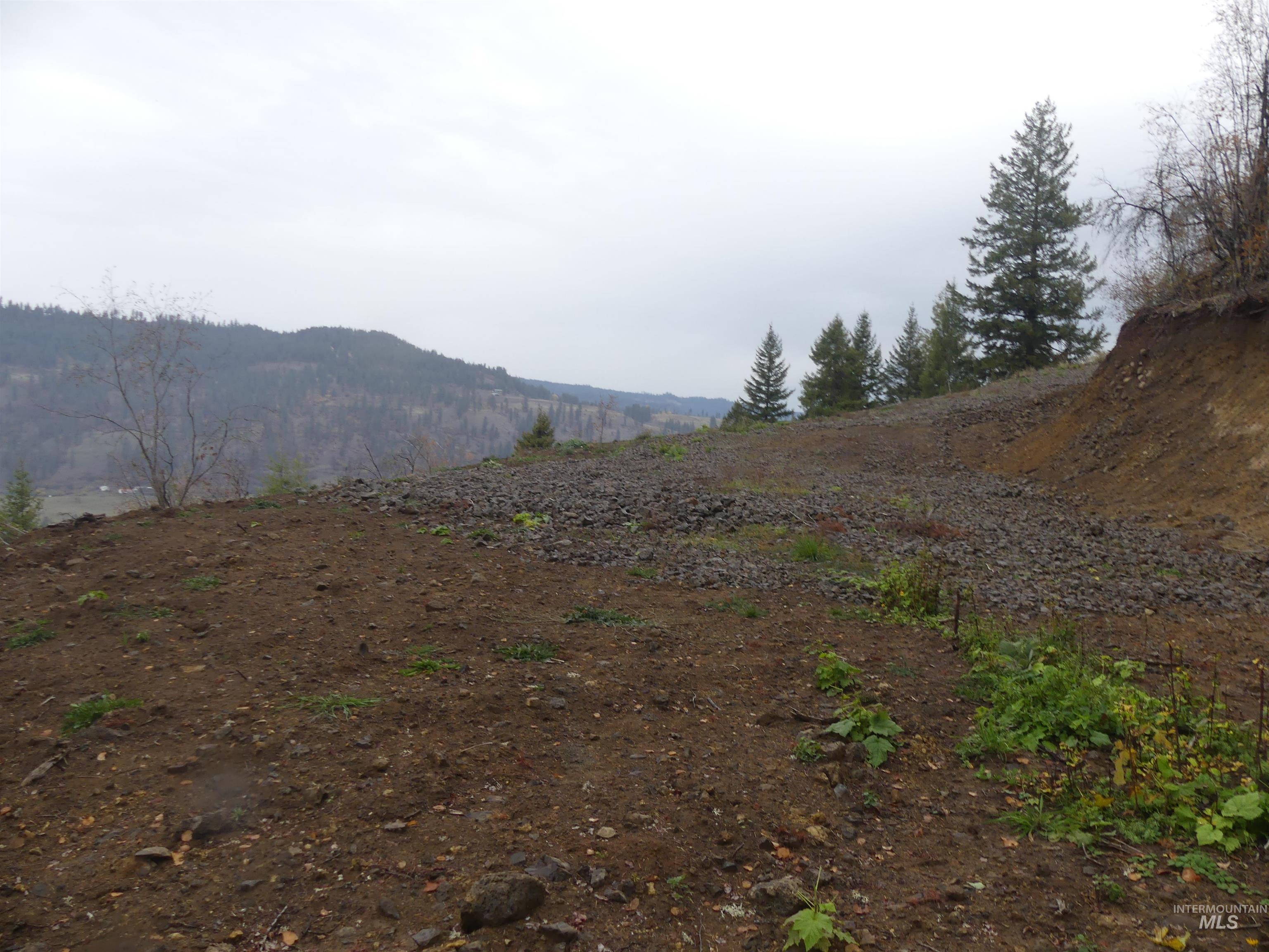 1762 Tranquil Lane (#4), Orofino, Idaho 83544, Land For Sale, Price $124,900, 98968003