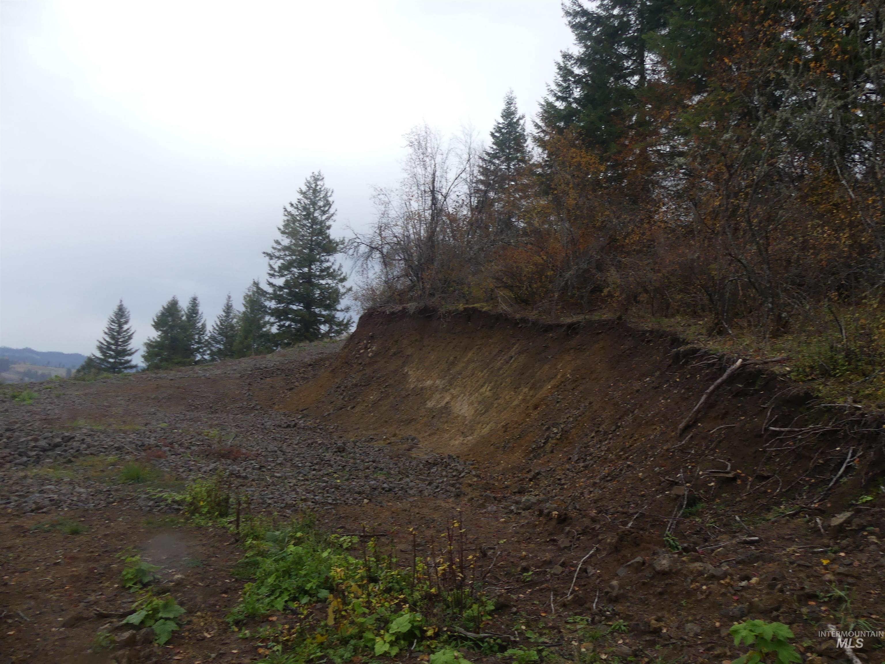 1762 Tranquil Lane (#4), Orofino, Idaho 83544, Land For Sale, Price $124,900, 98968003