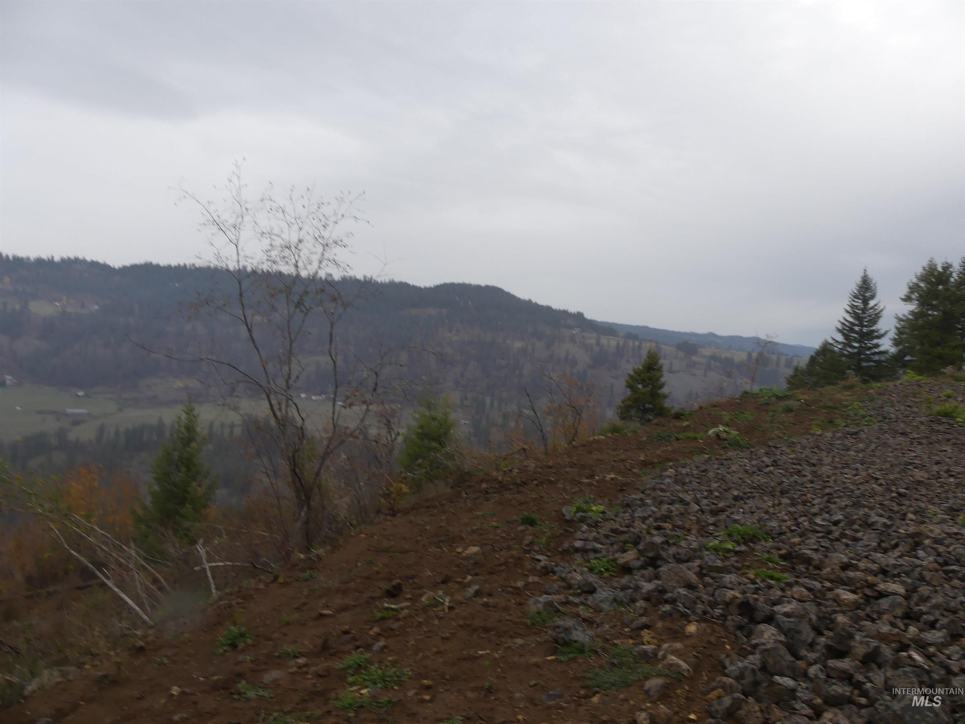 1762 Tranquil Lane (#4), Orofino, Idaho 83544, Land For Sale, Price $124,900, 98968003