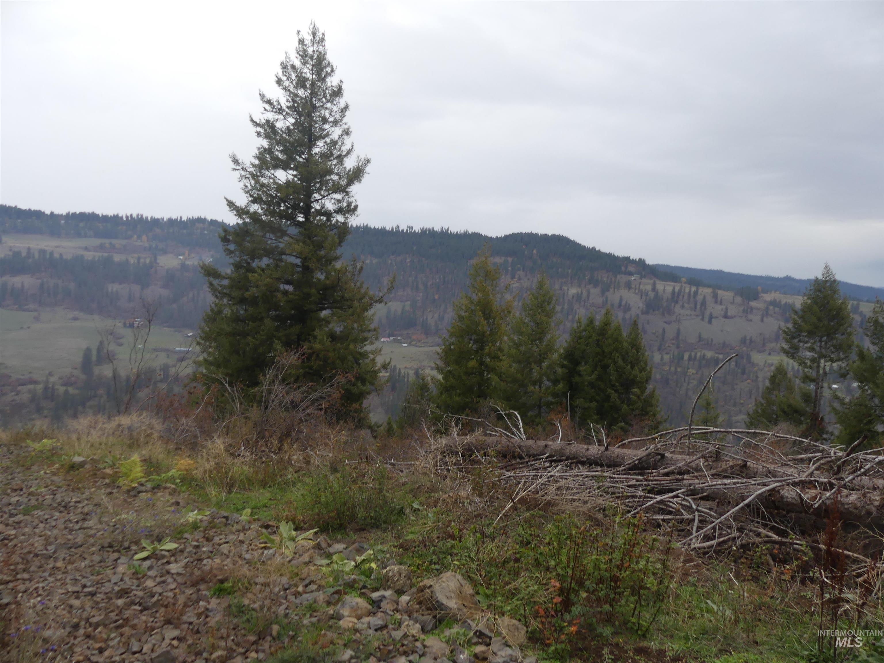 1762 Tranquil Lane (#4), Orofino, Idaho 83544, Land For Sale, Price $124,900, 98968003