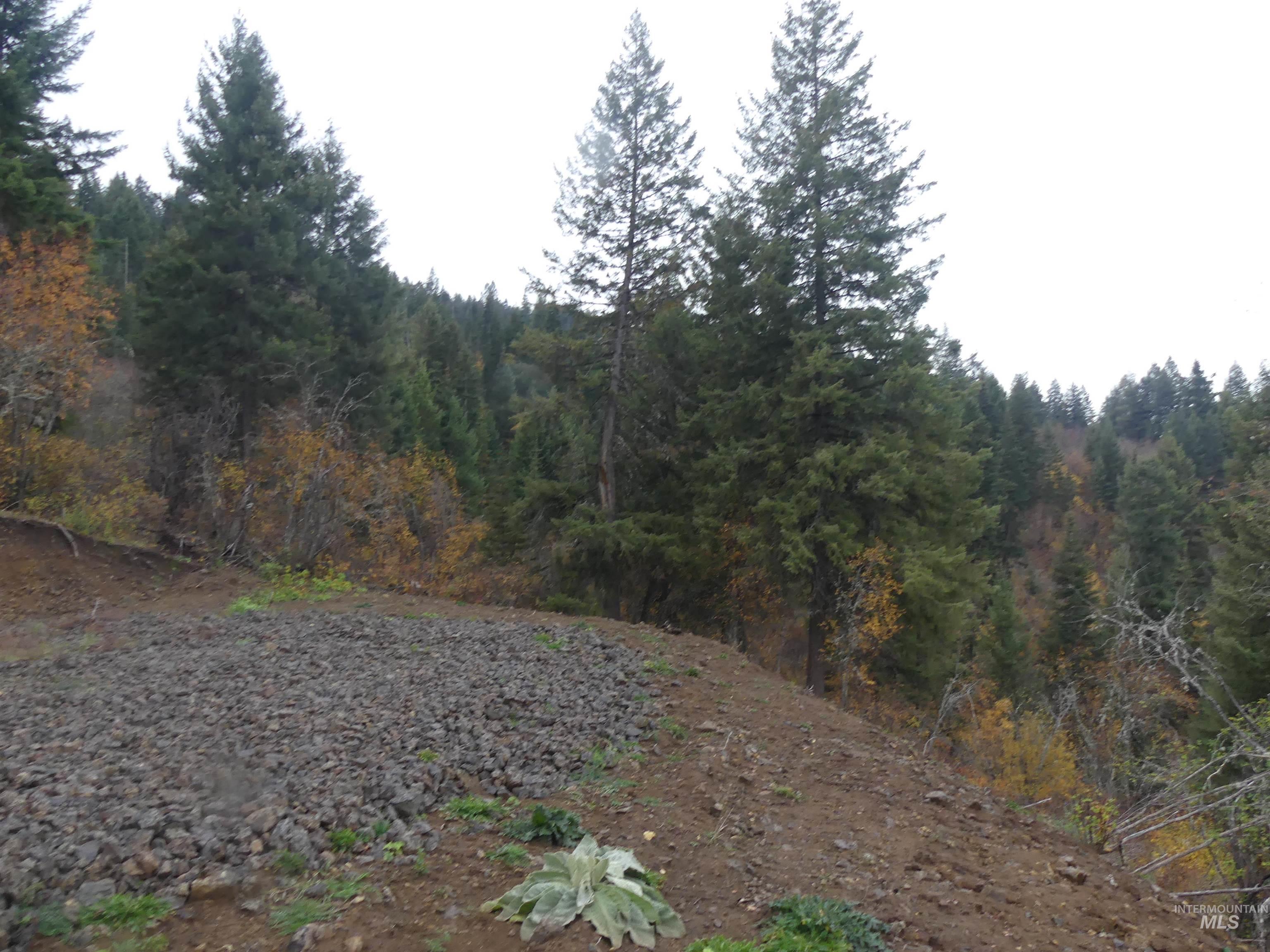 1762 Tranquil Lane (#4), Orofino, Idaho 83544, Land For Sale, Price $124,900, 98968003