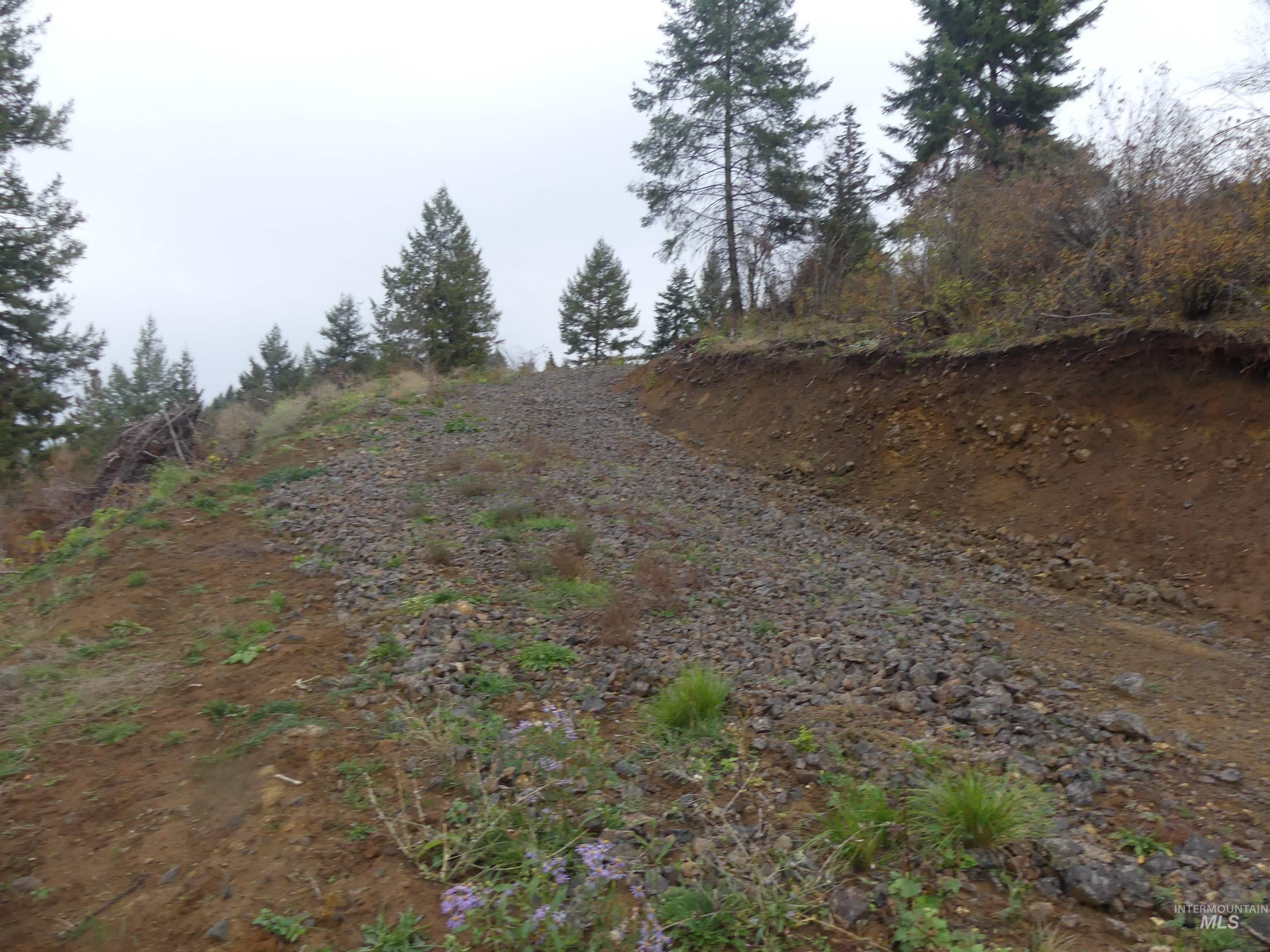 1762 Tranquil Lane (#4), Orofino, Idaho 83544, Land For Sale, Price $124,900, 98968003