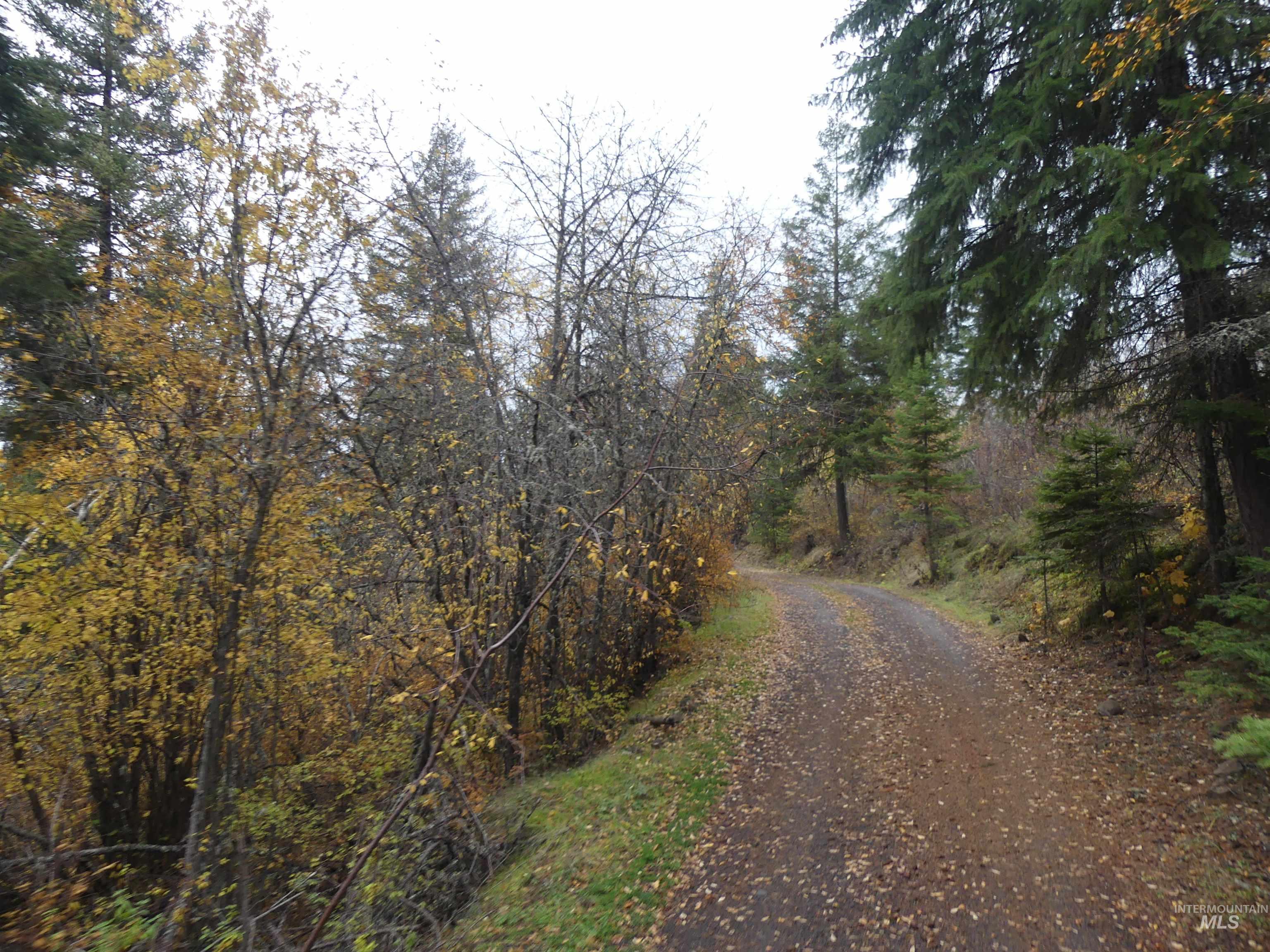 1762 Tranquil Lane (#4), Orofino, Idaho 83544, Land For Sale, Price $124,900, 98968003