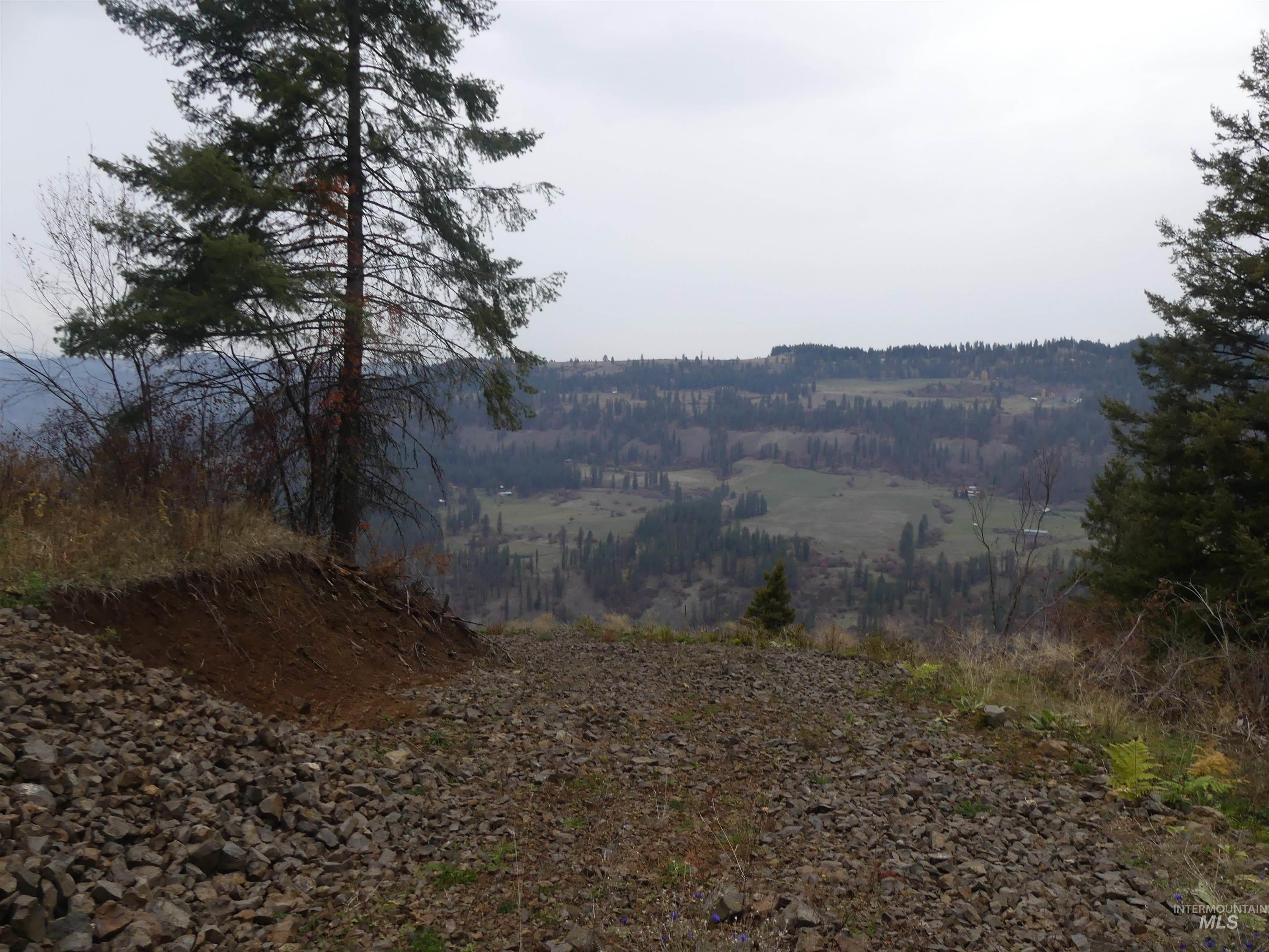 1762 Tranquil Lane (#4), Orofino, Idaho 83544, Land For Sale, Price $124,900, 98968003