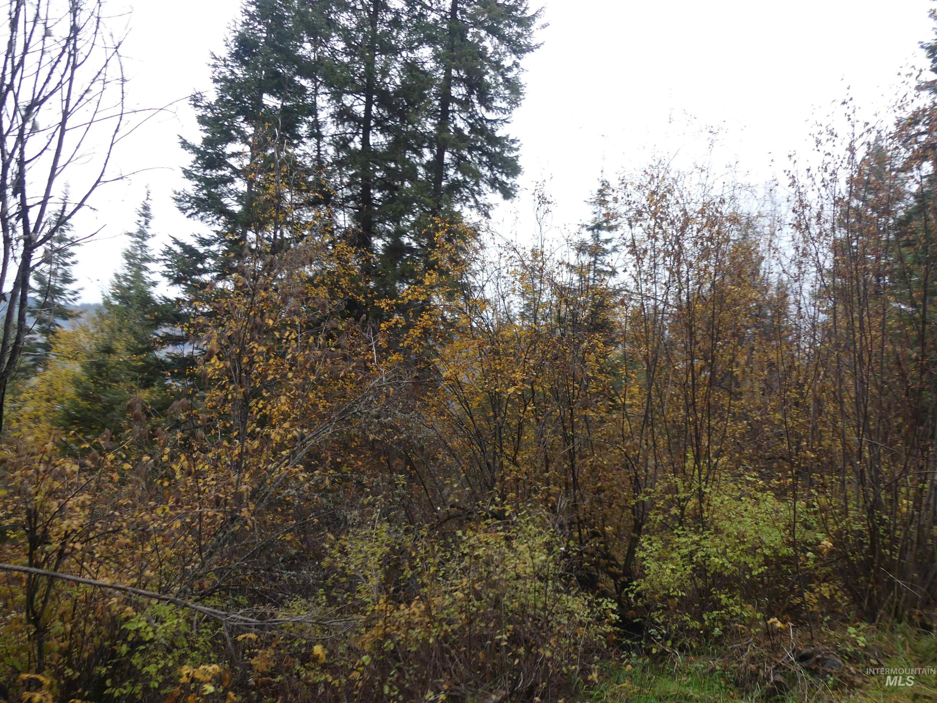 1762 Tranquil Lane (#4), Orofino, Idaho 83544, Land For Sale, Price $124,900, 98968003