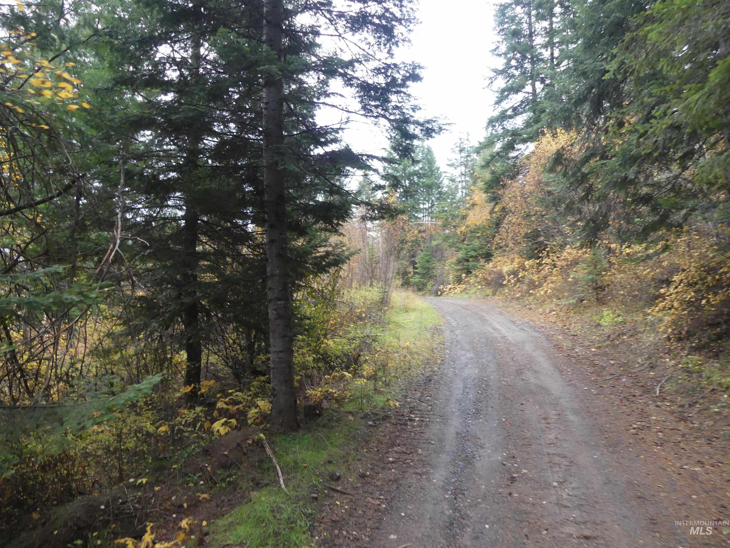 1762 Tranquil Lane (#4), Orofino, Idaho 83544, Land For Sale, Price $124,900, 98968003