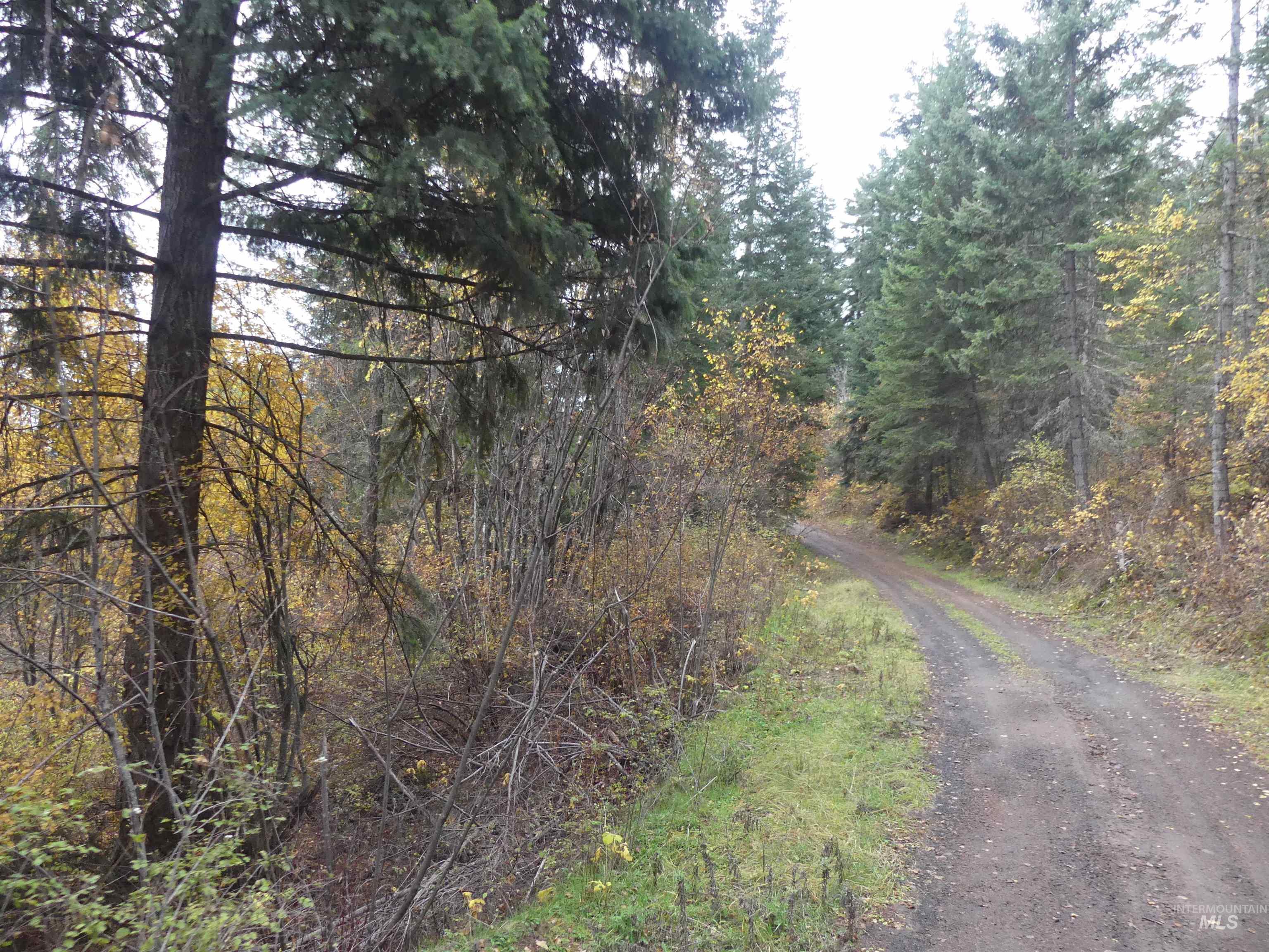 1762 Tranquil Lane (#4), Orofino, Idaho 83544, Land For Sale, Price $124,900, 98968003