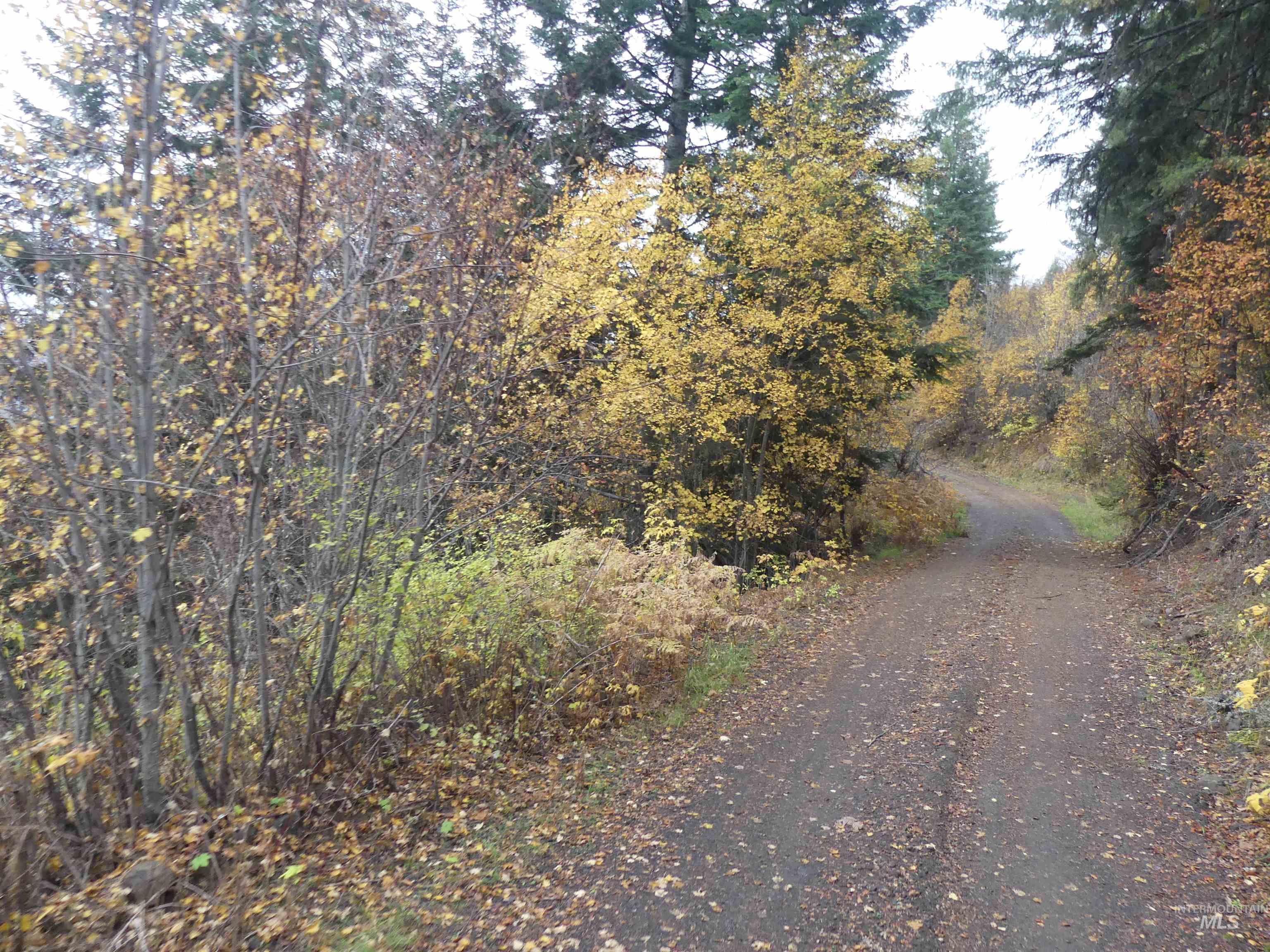 1762 Tranquil Lane (#4), Orofino, Idaho 83544, Land For Sale, Price $124,900, 98968003