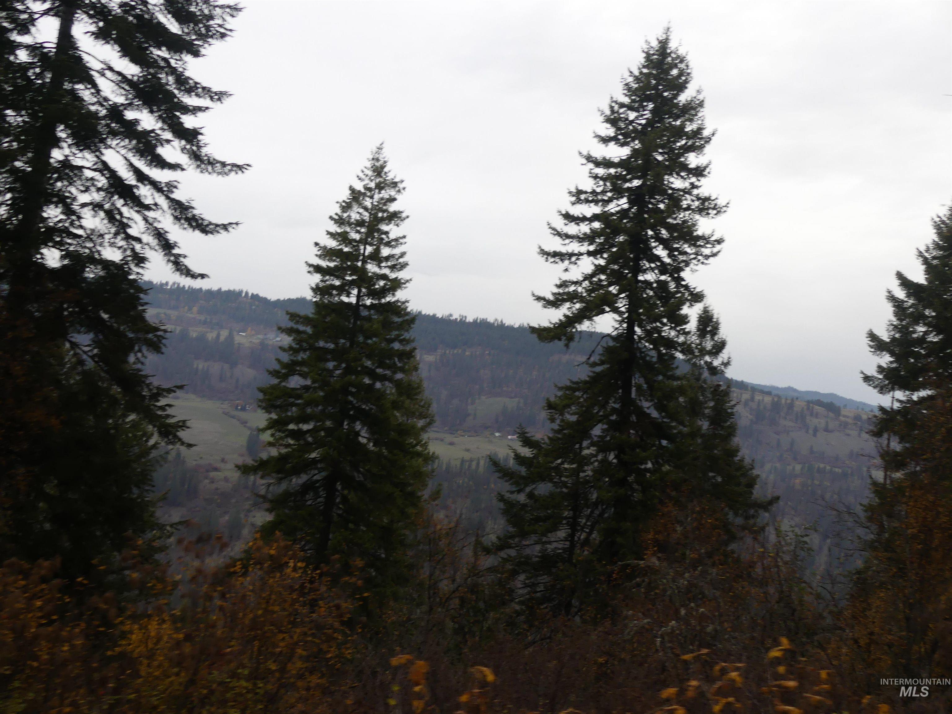 1762 Tranquil Lane (#4), Orofino, Idaho 83544, Land For Sale, Price $124,900, 98968003