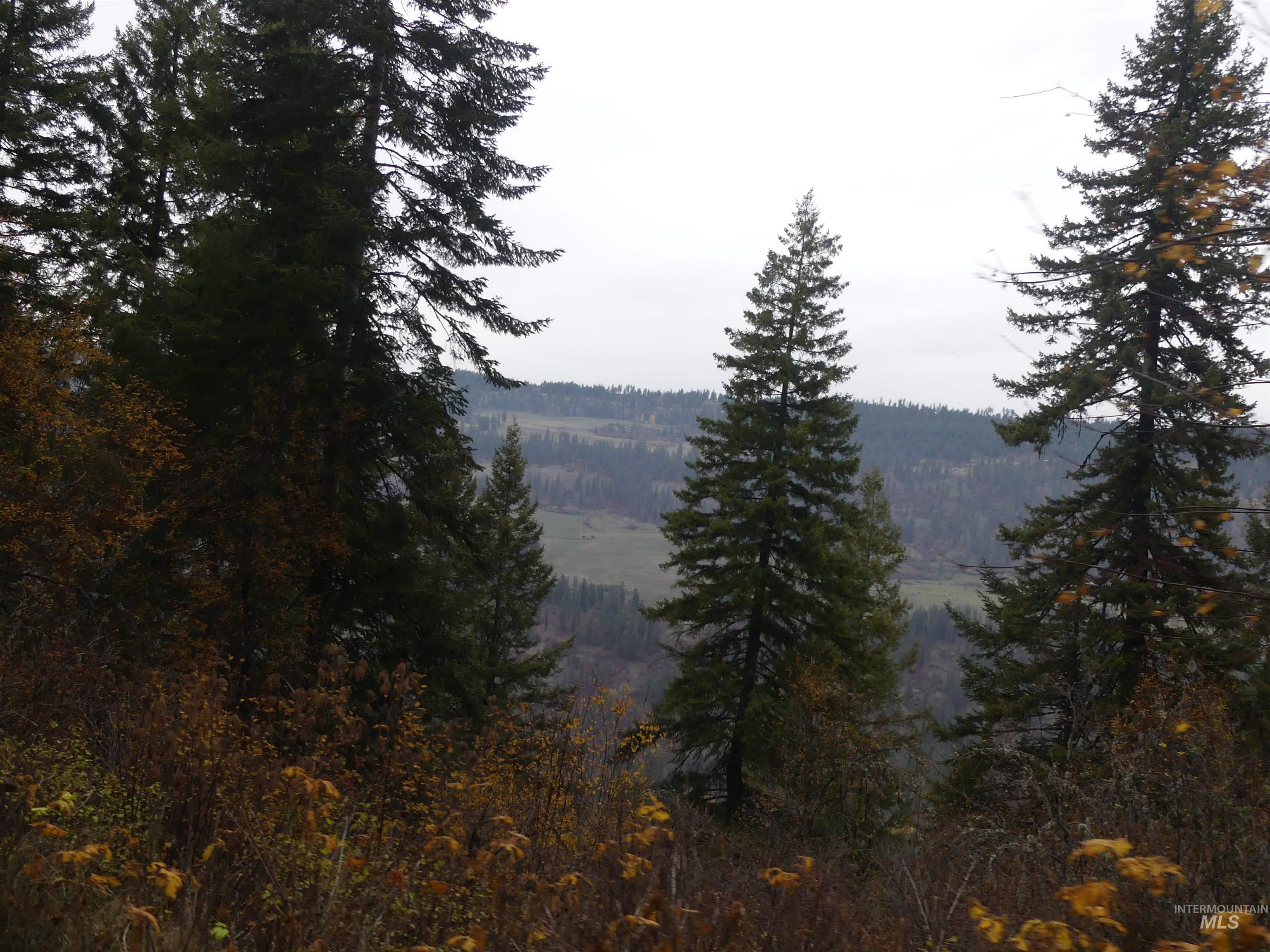 1762 Tranquil Lane (#4), Orofino, Idaho 83544, Land For Sale, Price $124,900, 98968003