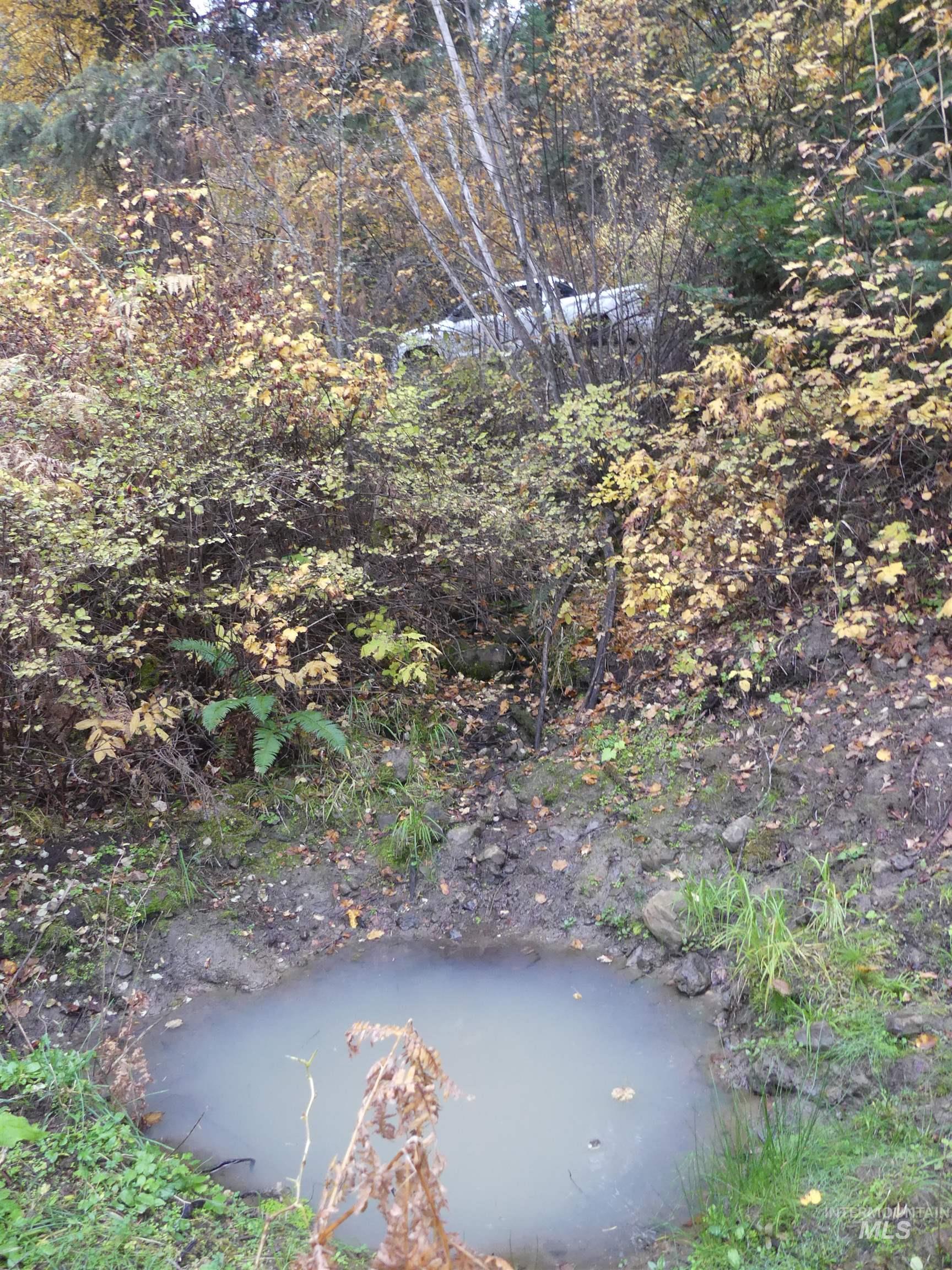 1762 Tranquil Lane (#4), Orofino, Idaho 83544, Land For Sale, Price $124,900, 98968003