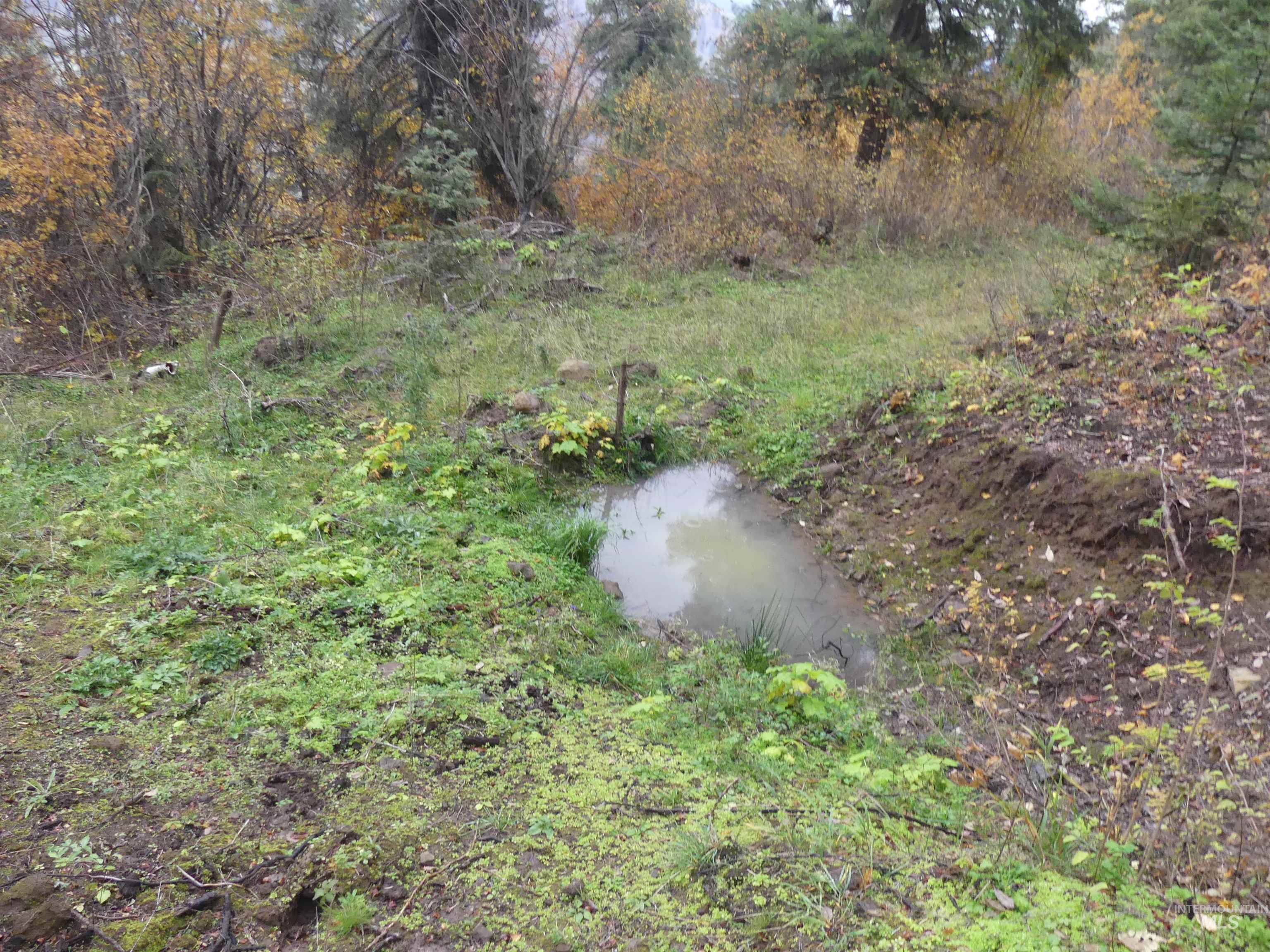 1762 Tranquil Lane (#4), Orofino, Idaho 83544, Land For Sale, Price $124,900, 98968003