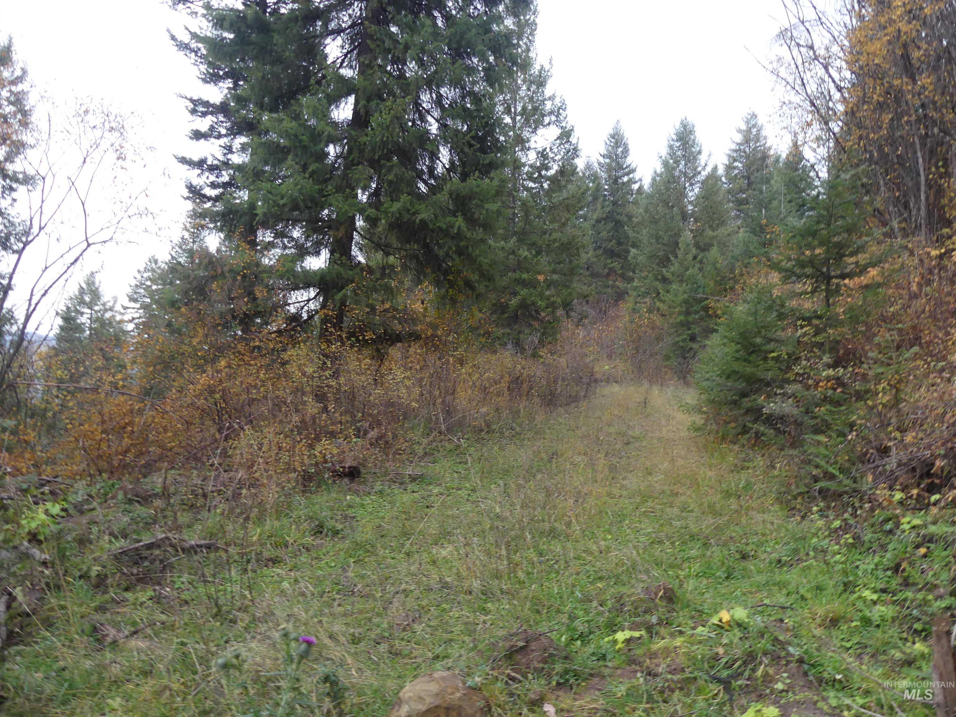 1762 Tranquil Lane (#4), Orofino, Idaho 83544, Land For Sale, Price $124,900, 98968003