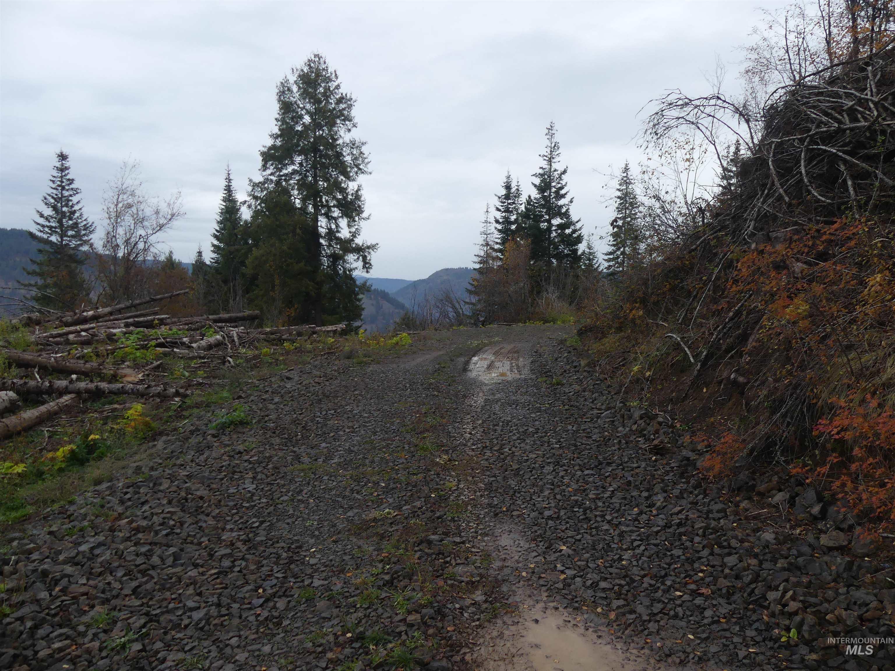 1762 Tranquil Lane (#4), Orofino, Idaho 83544, Land For Sale, Price $124,900, 98968003