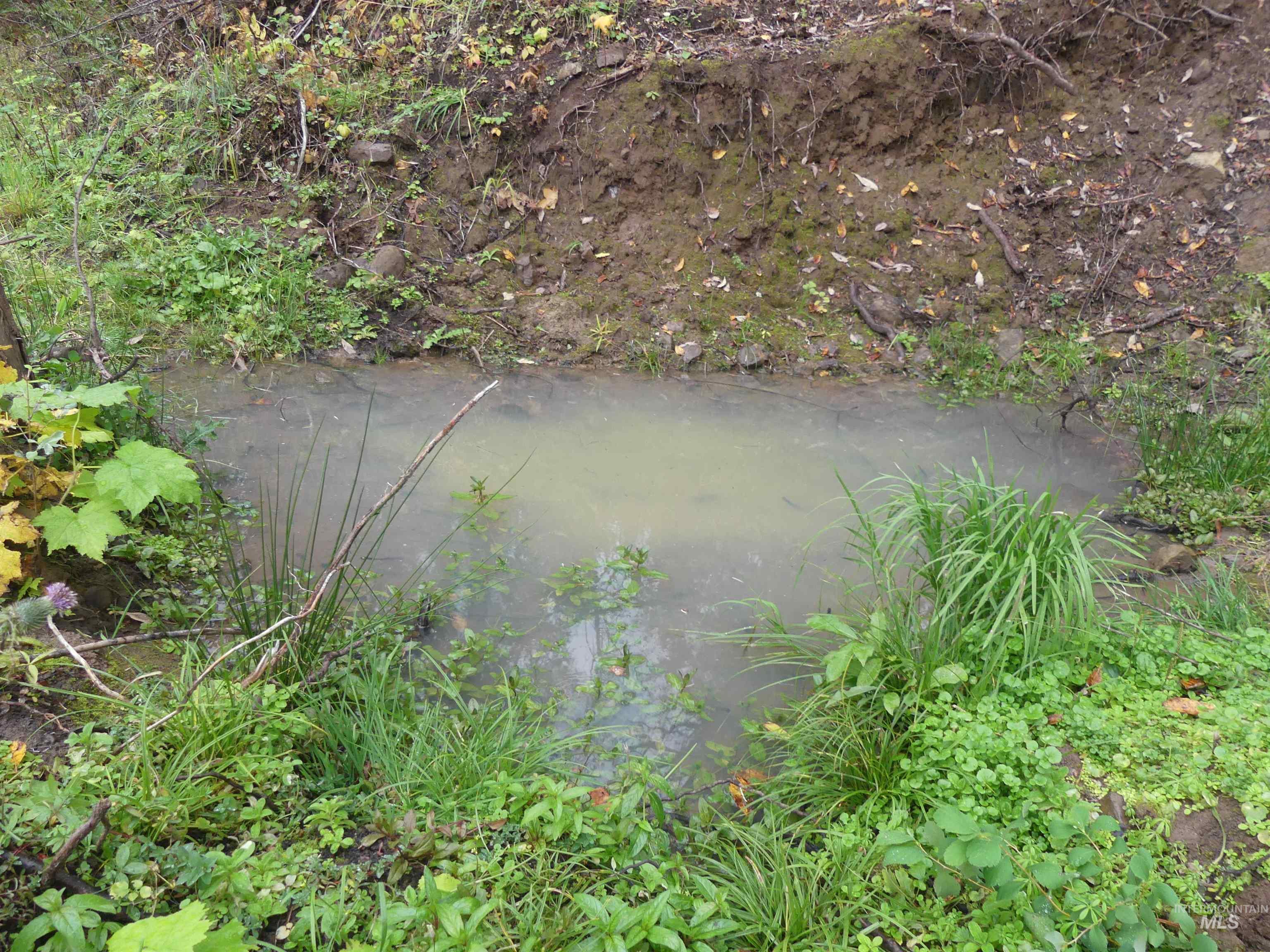 1762 Tranquil Lane (#4), Orofino, Idaho 83544, Land For Sale, Price $124,900, 98968003