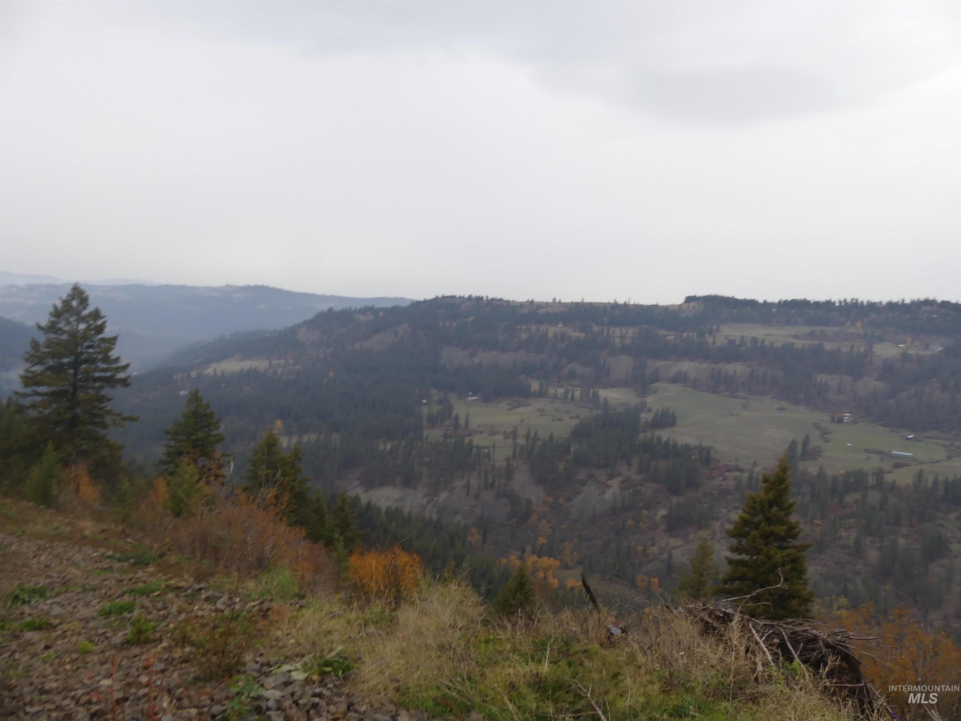 1762 Tranquil Lane (#4), Orofino, Idaho 83544, Land For Sale, Price $124,900, 98968003